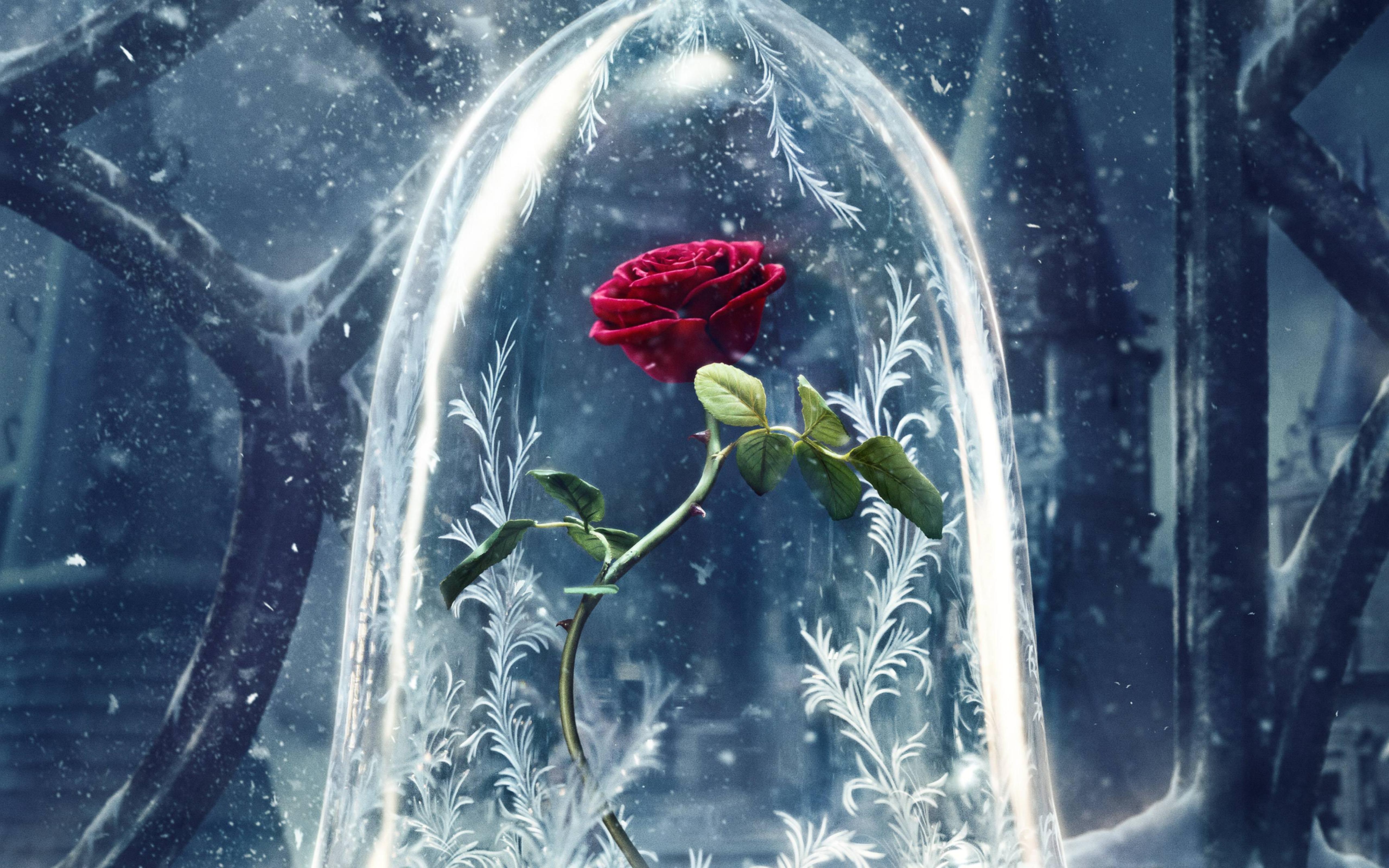 red rose in a crystal globe