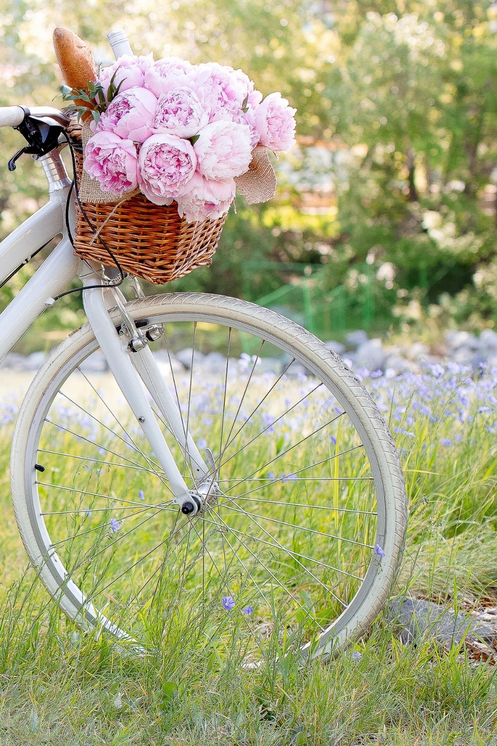 Spring Aesthetic: The Gifts