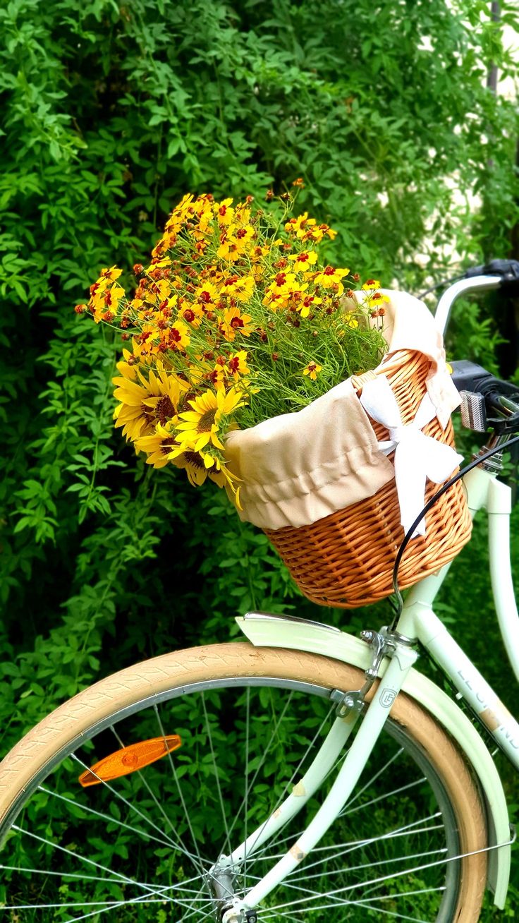 My bicycle. Aesthetic bike, Bicycle