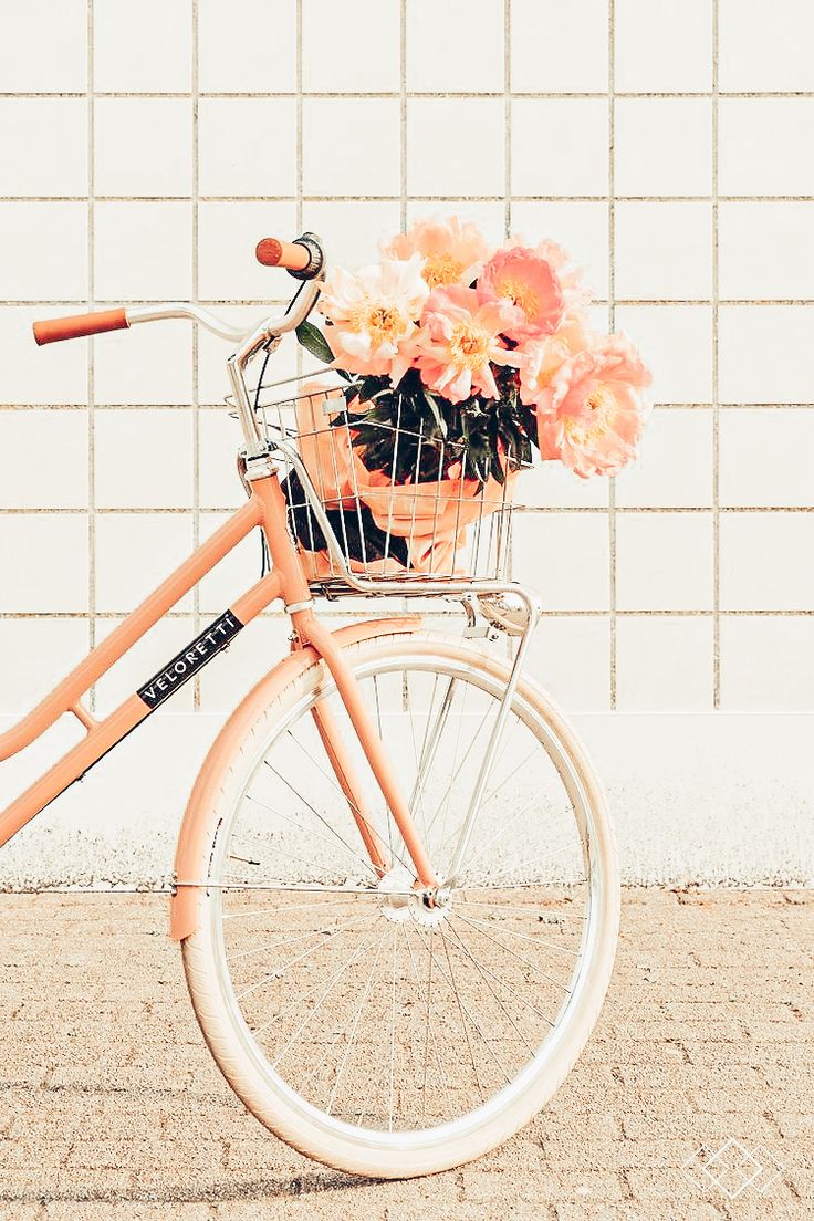 Aesthetic Flowers. Aesthetic iphone