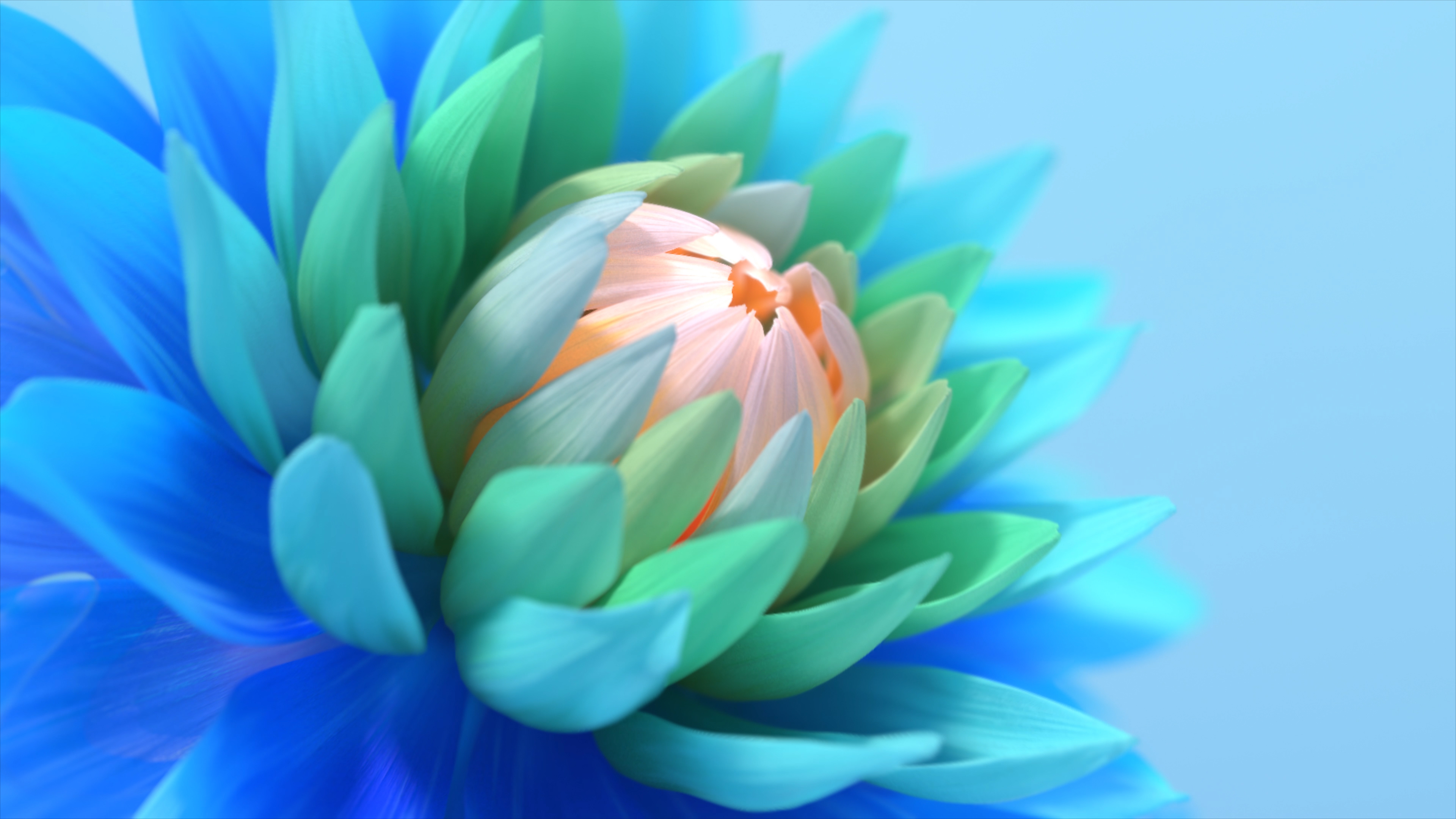 Colorful flower Wallpaper 4K, Blue
