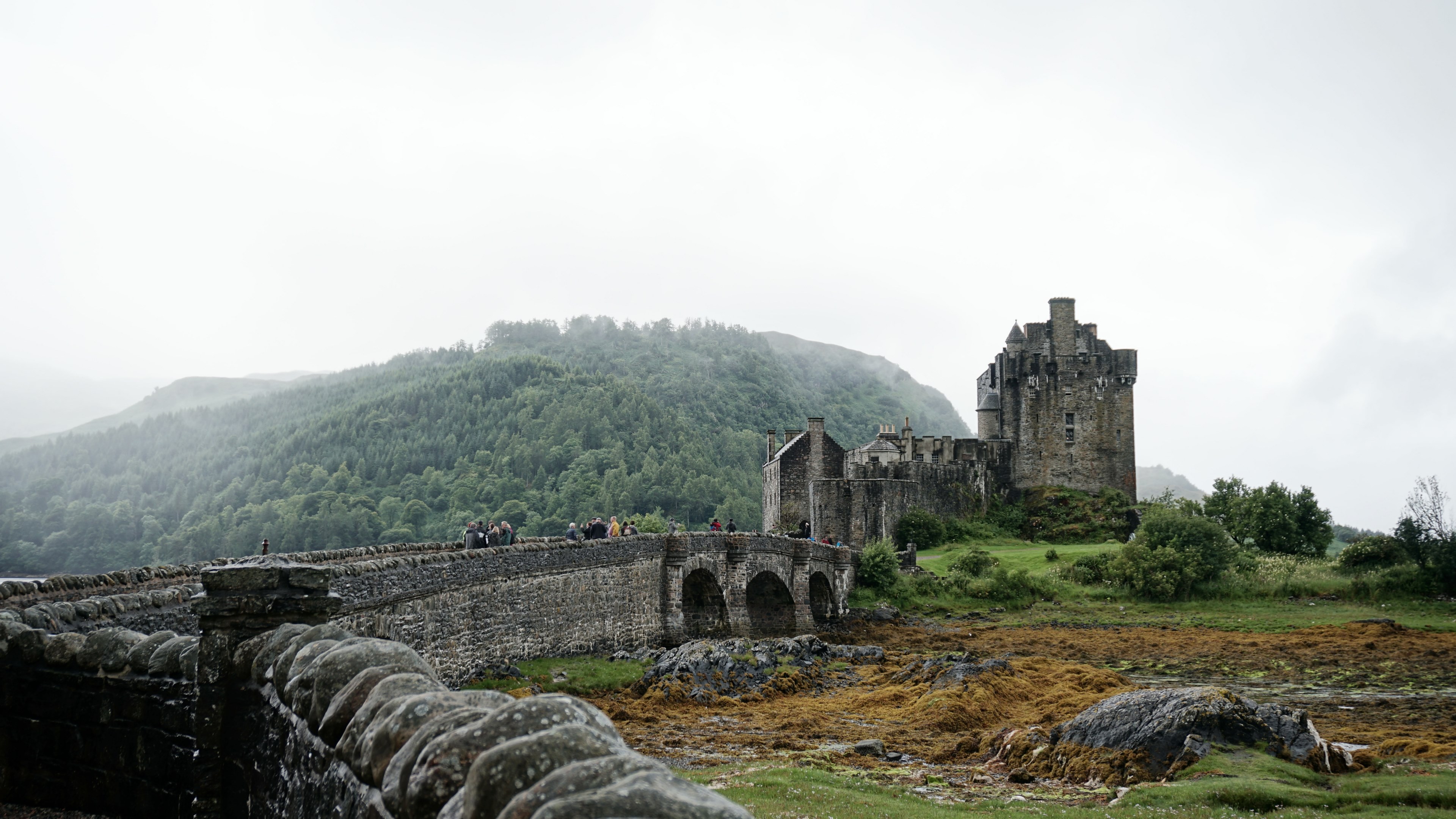 walls of a medieval castle