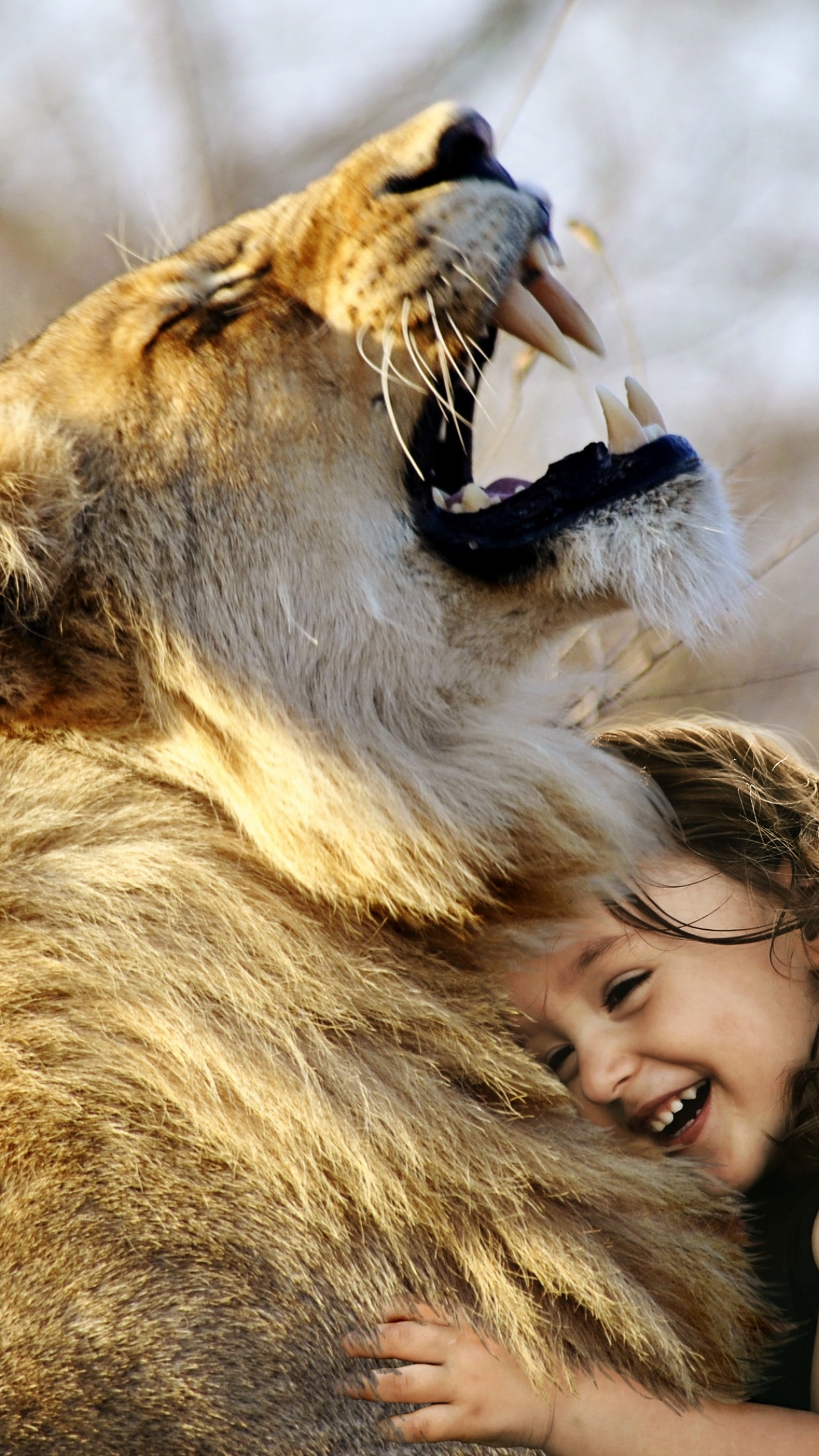 Lion Wallpaper 4K, Cute Girl, Cute