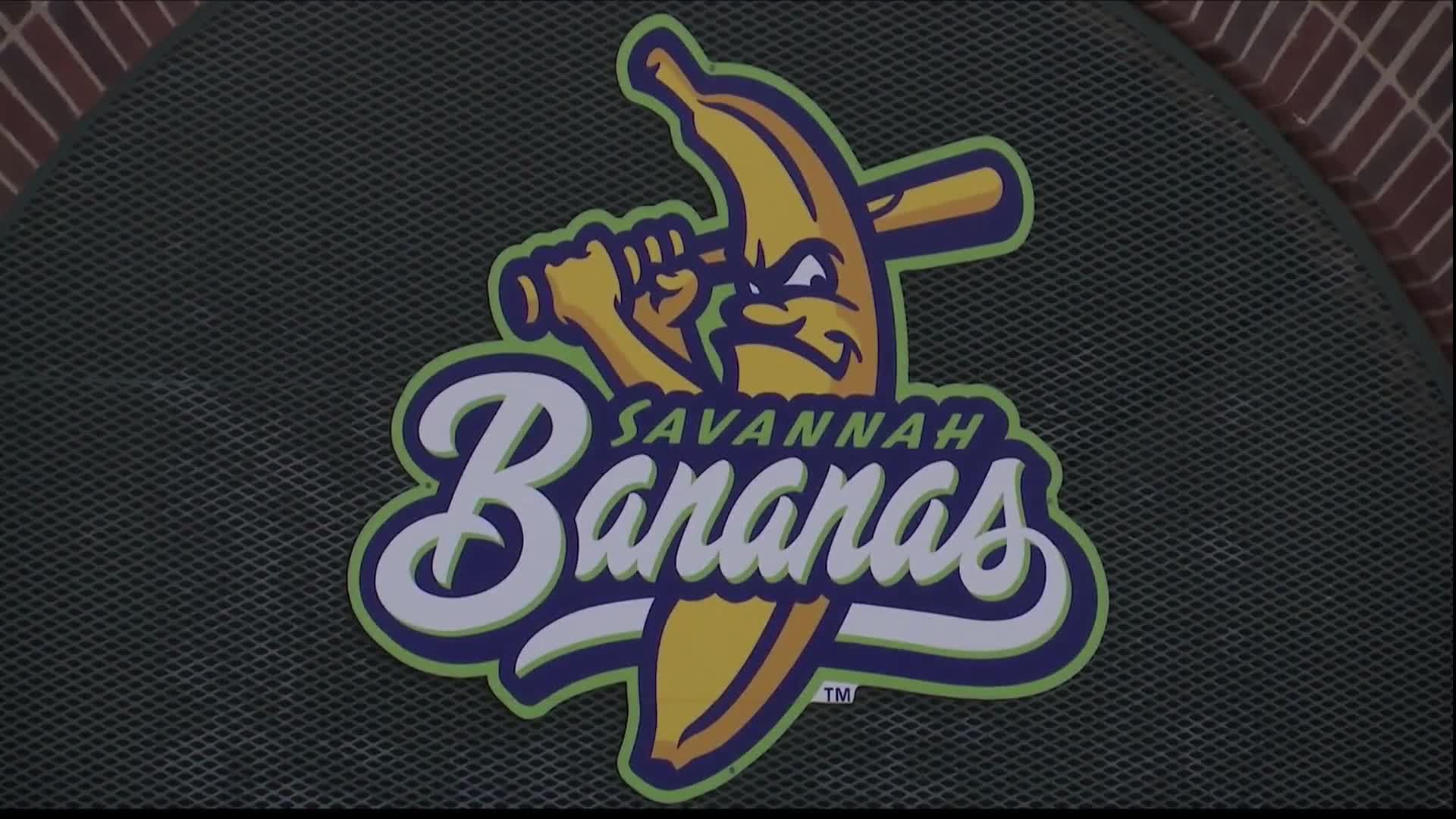 Looking for Savannah Bananas tickets