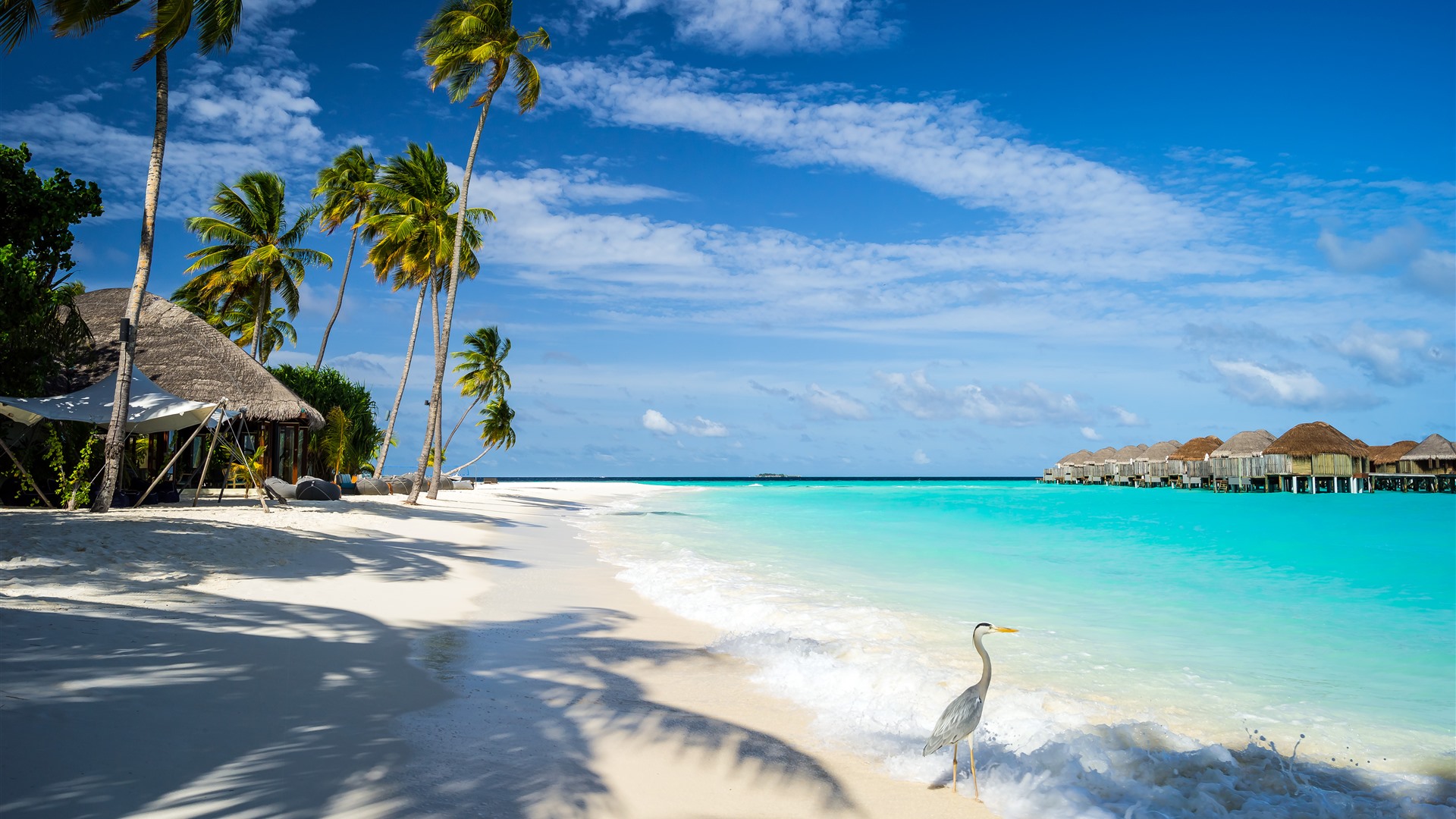 Tropical Sunshine Beach