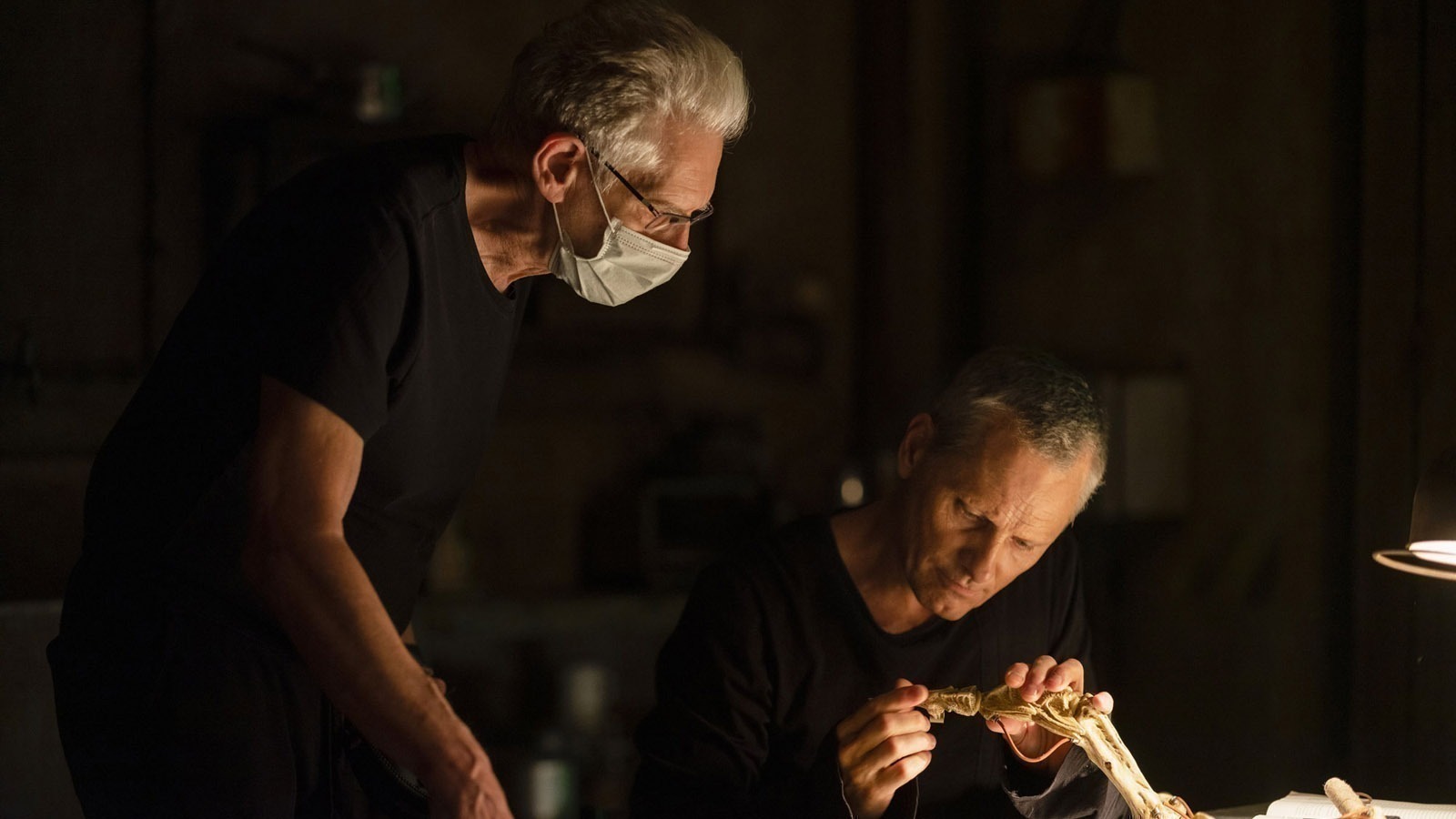 The Criterion Collection