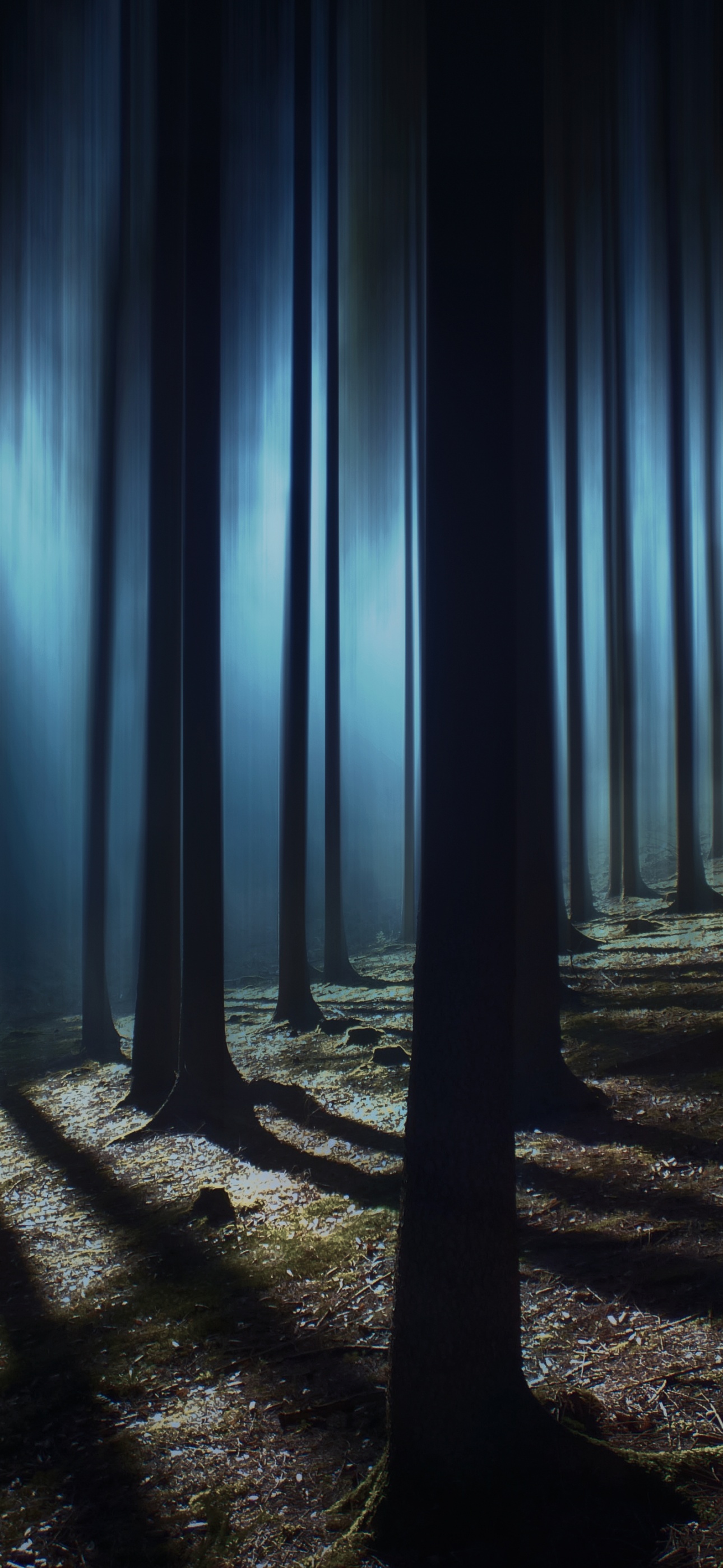 Dark Forest Wallpaper 4K, Woods, Night