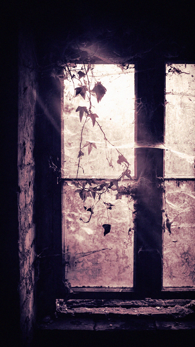 scary aesthetic halloween wallpaper