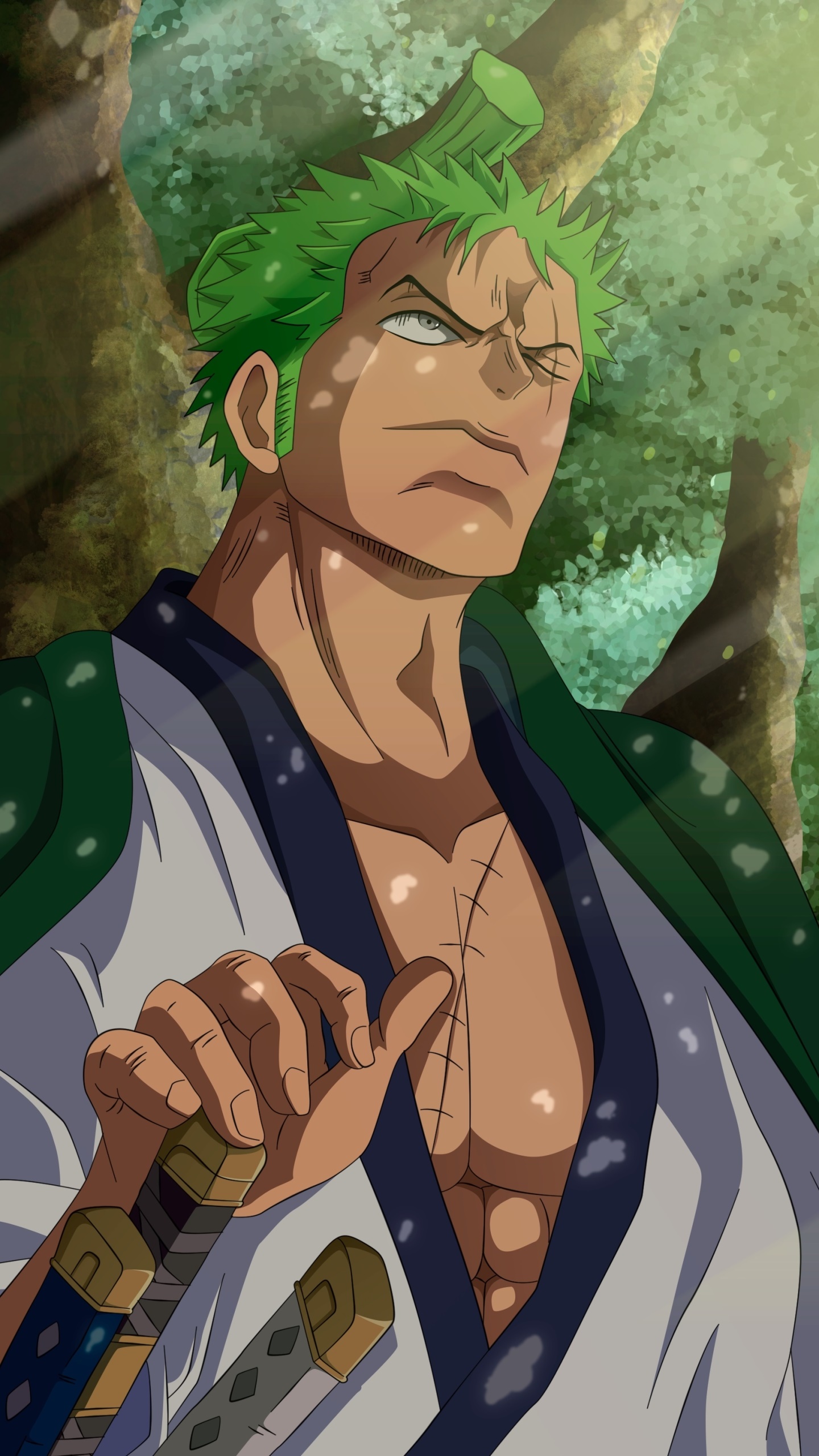 Wallpaper / Anime One Piece Phone Wallpaper, Roronoa Zoro, 1440x2560 free download