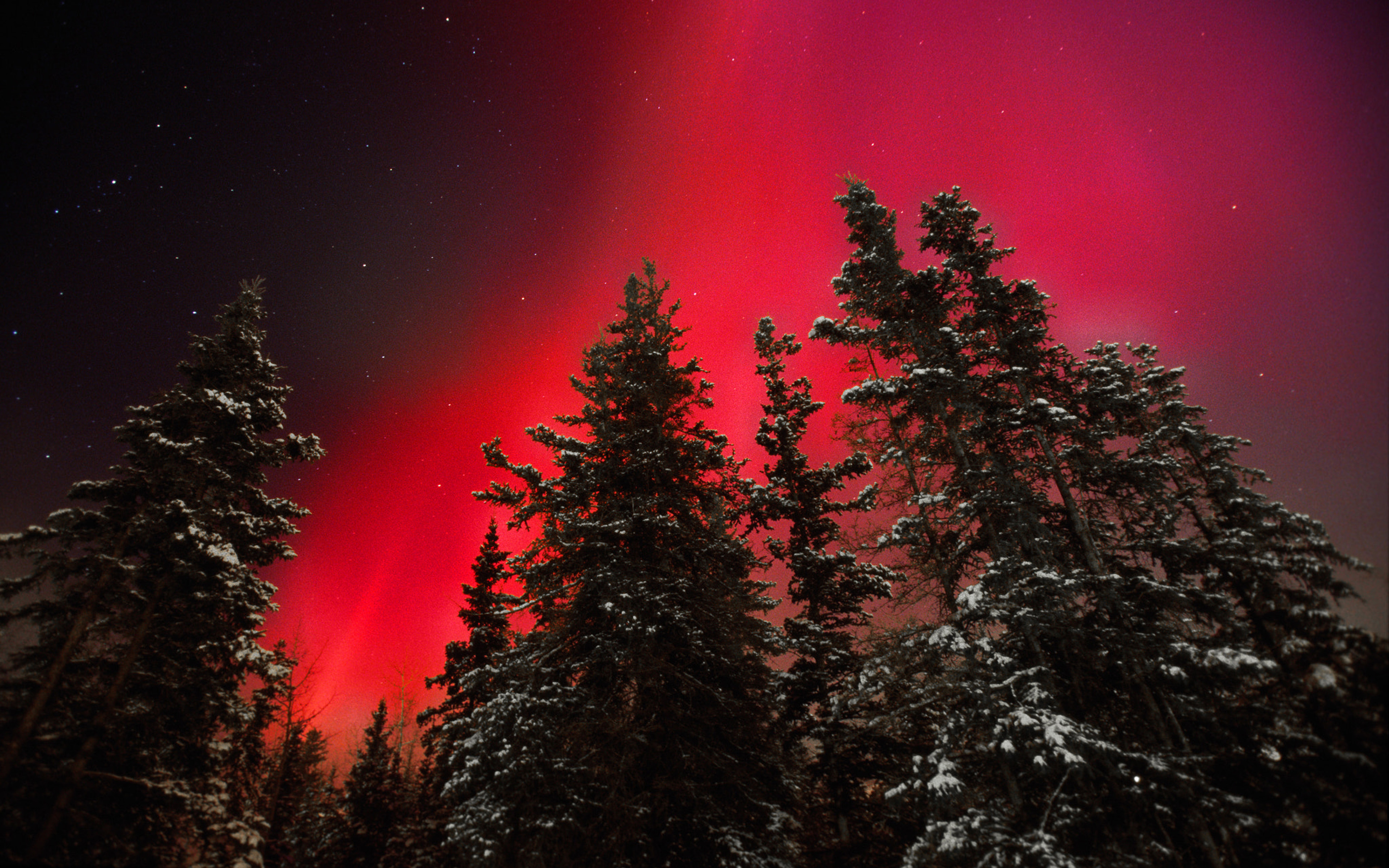 Fiery Sky Red Aurora Special Night Rare