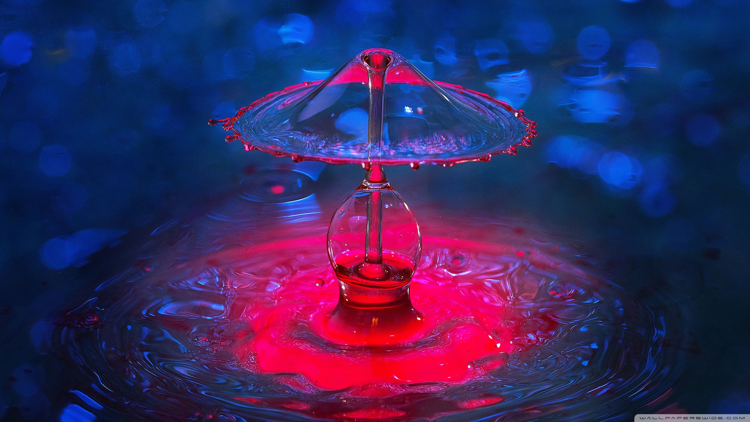 Water Drip, Drop, Splash Art Ultra HD