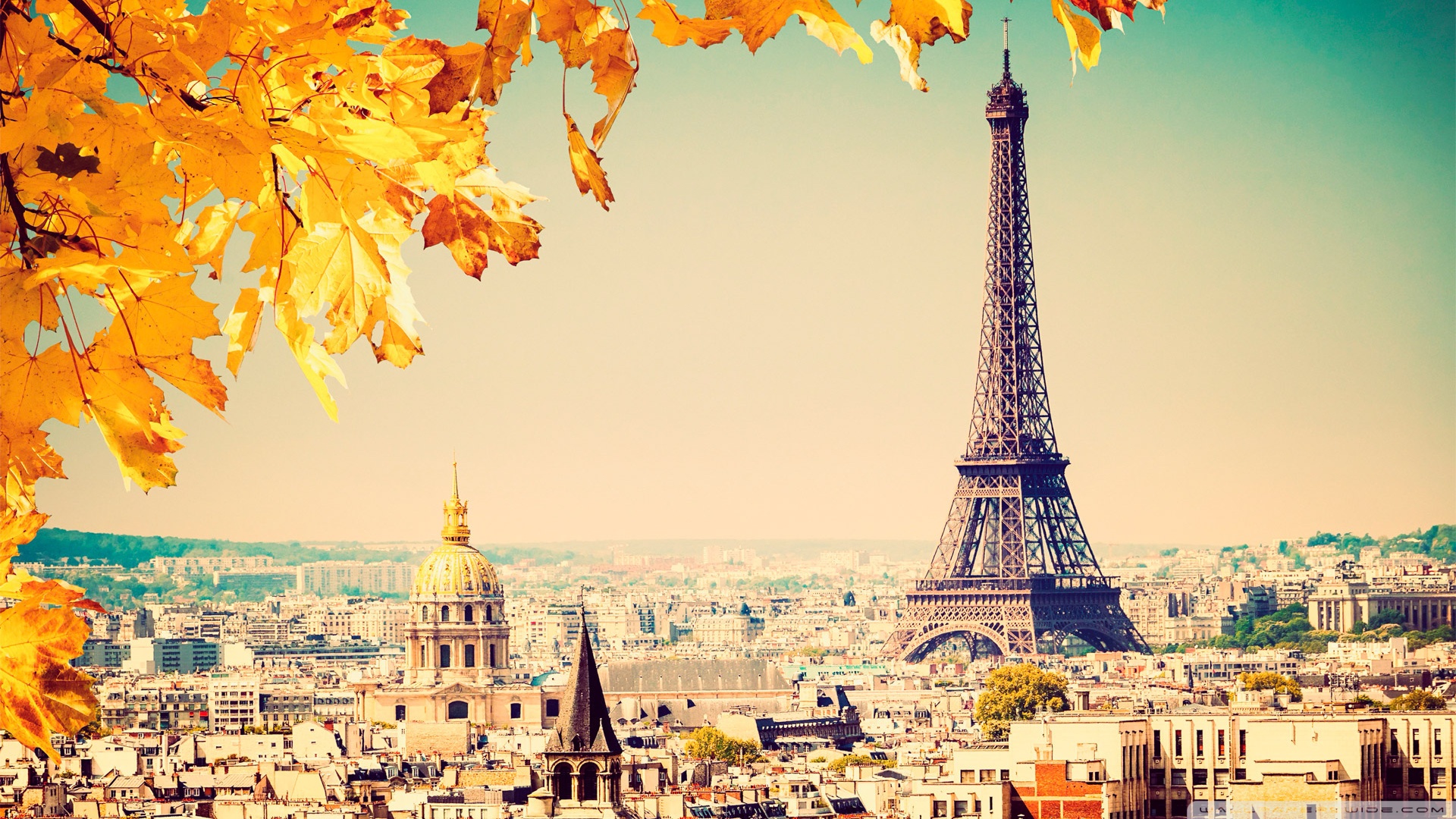 Free download Paris Autumn tree 4K HD