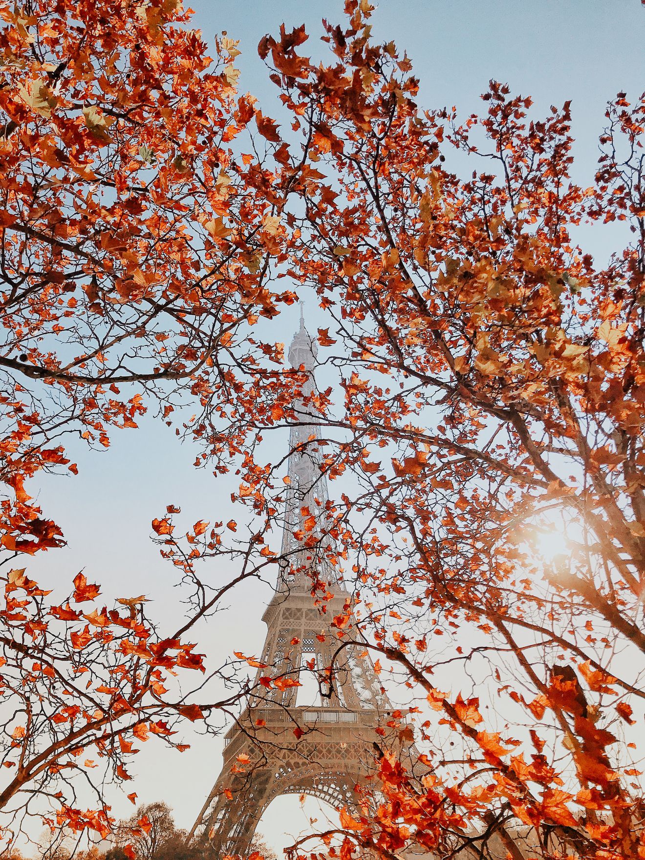 Fall in Paris. Paris in autumn, Paris