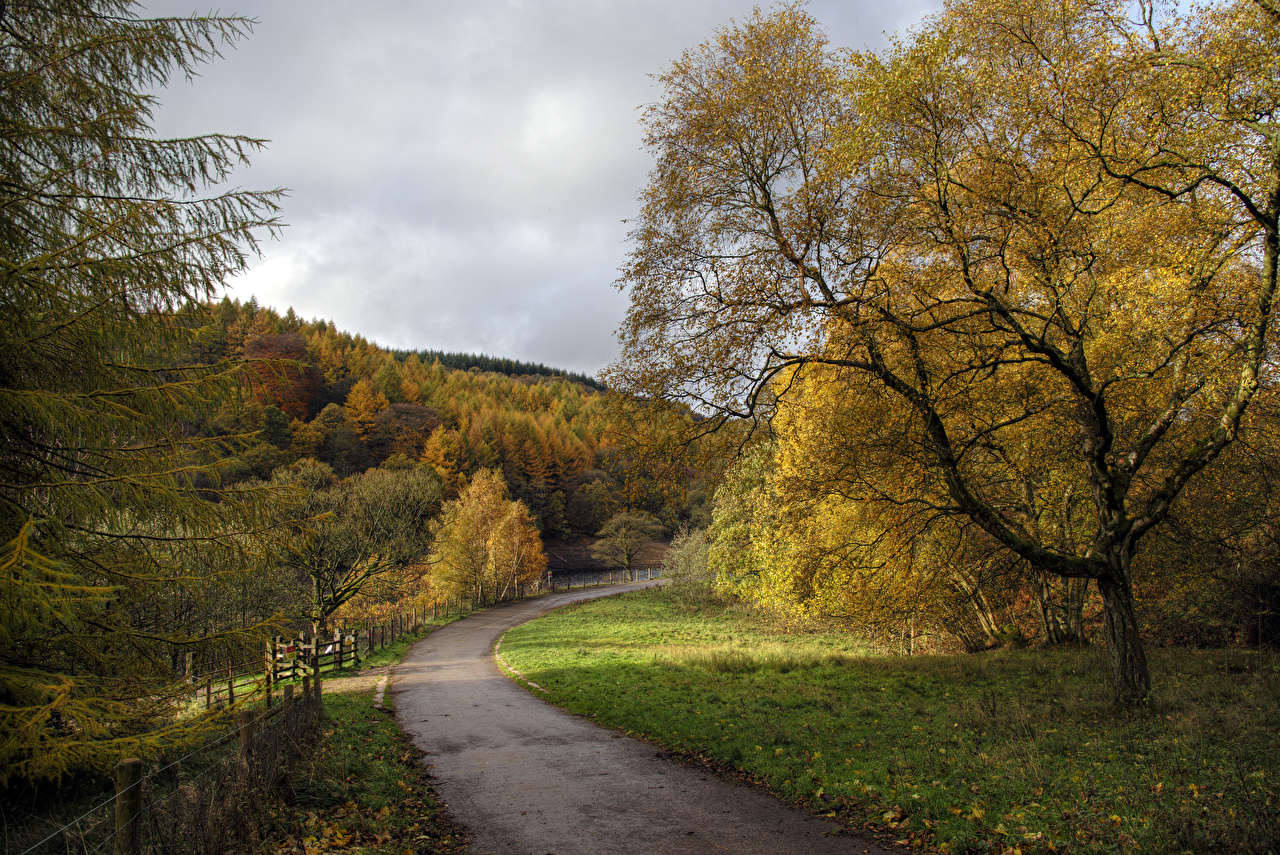 Desktop Wallpaper England Fernilee
