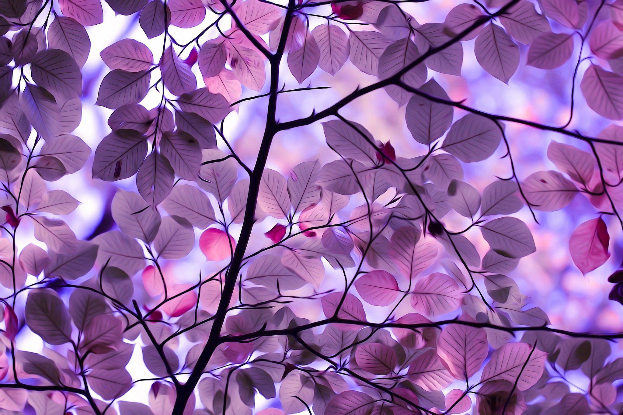 Purple Leaves Wallpaper Free