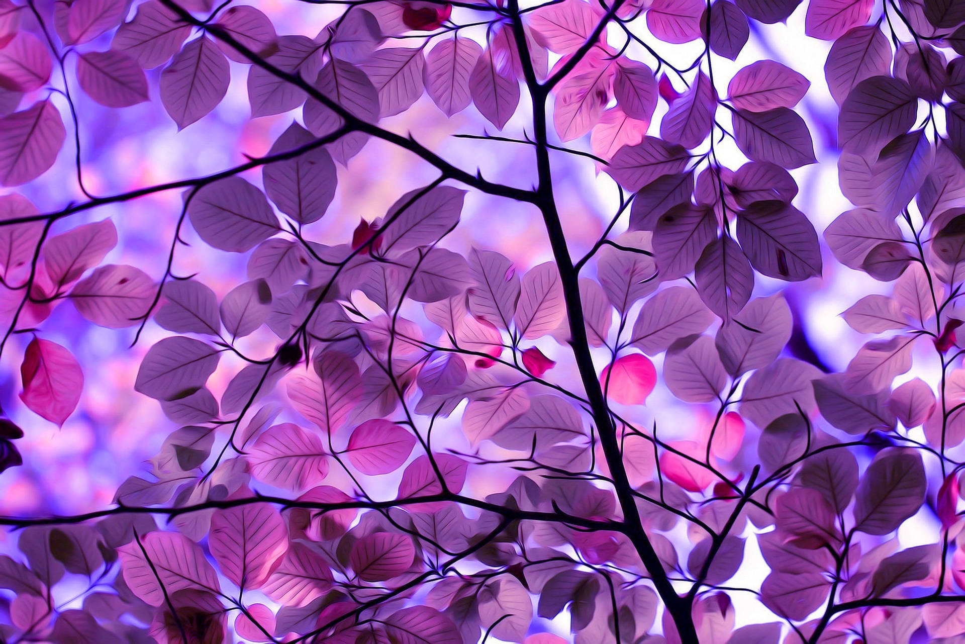 Purple Tree Wallpaper