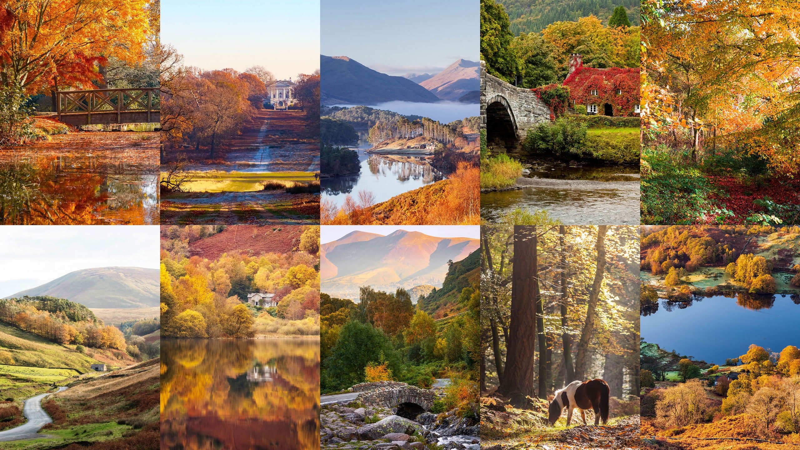 The best places to see Autumn leaves