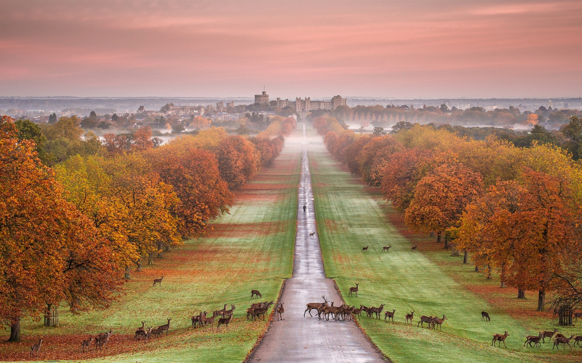 Windsor Castle, England, autumn, trees