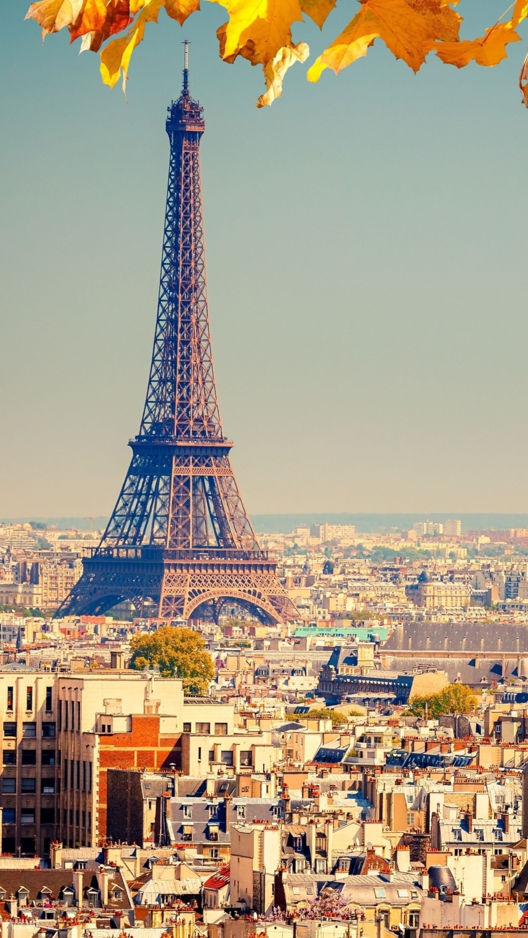 Eiffel Tower Paris Autumn Wallpaper