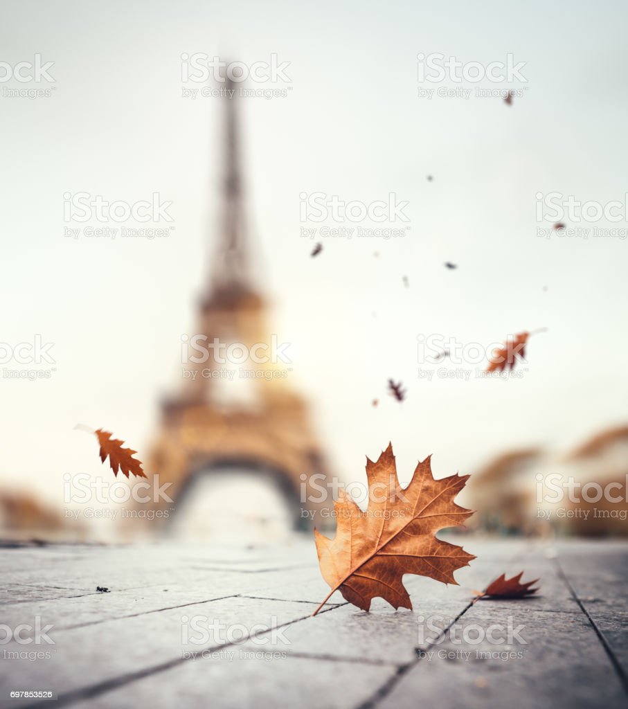 Autumn In Paris