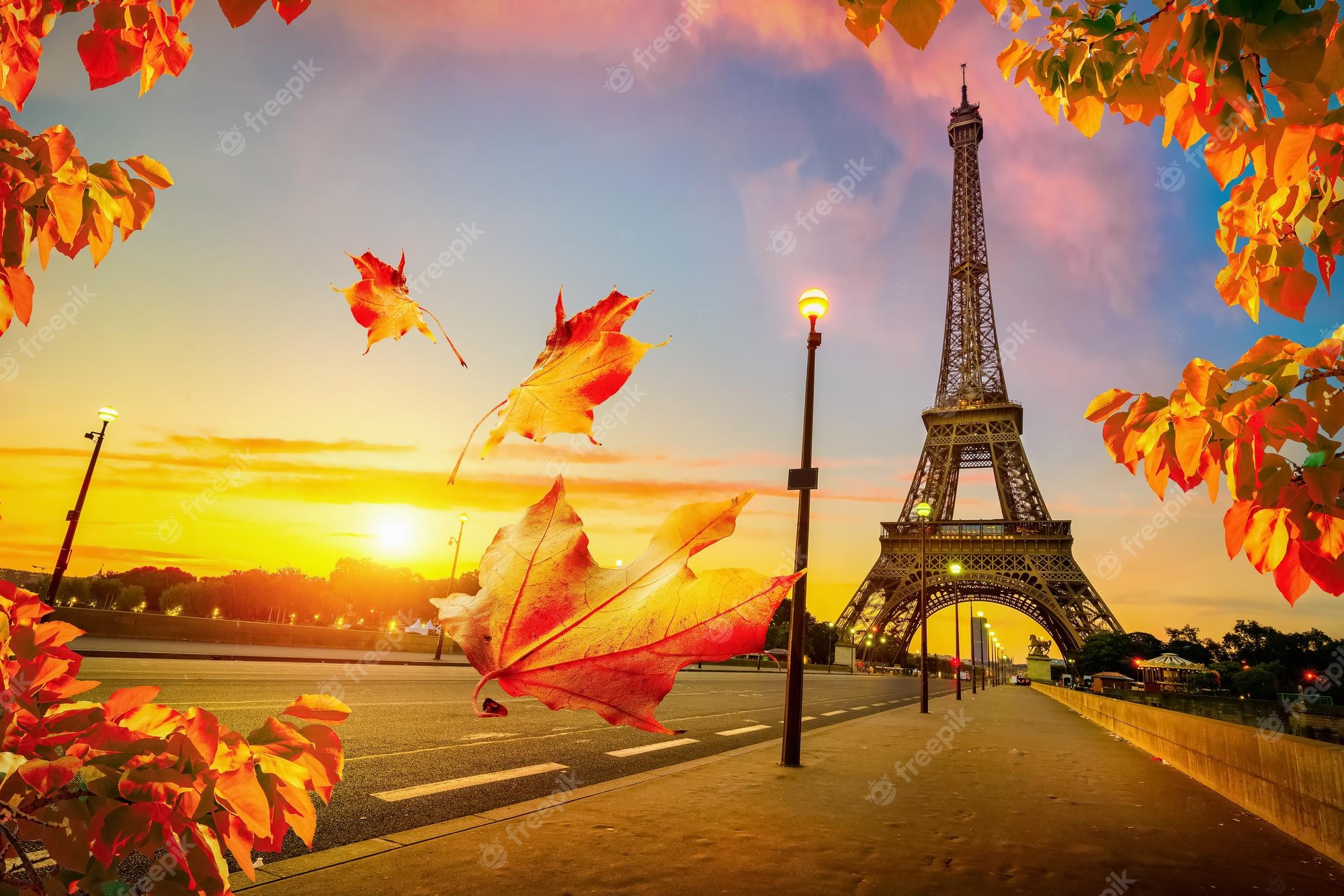 Premium Photo. Beautiful autumn in paris