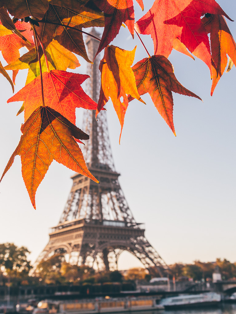 Autumn in Paris