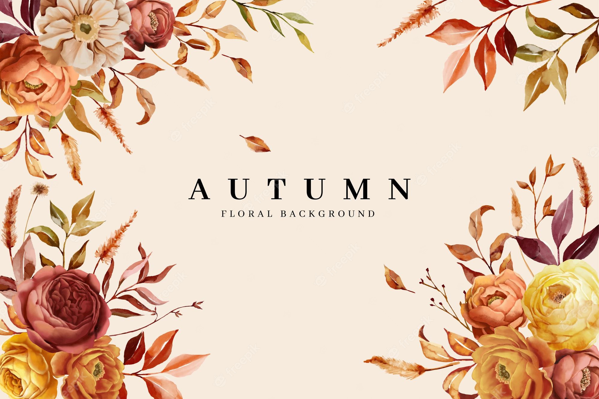 Autumn Flowers Image Download