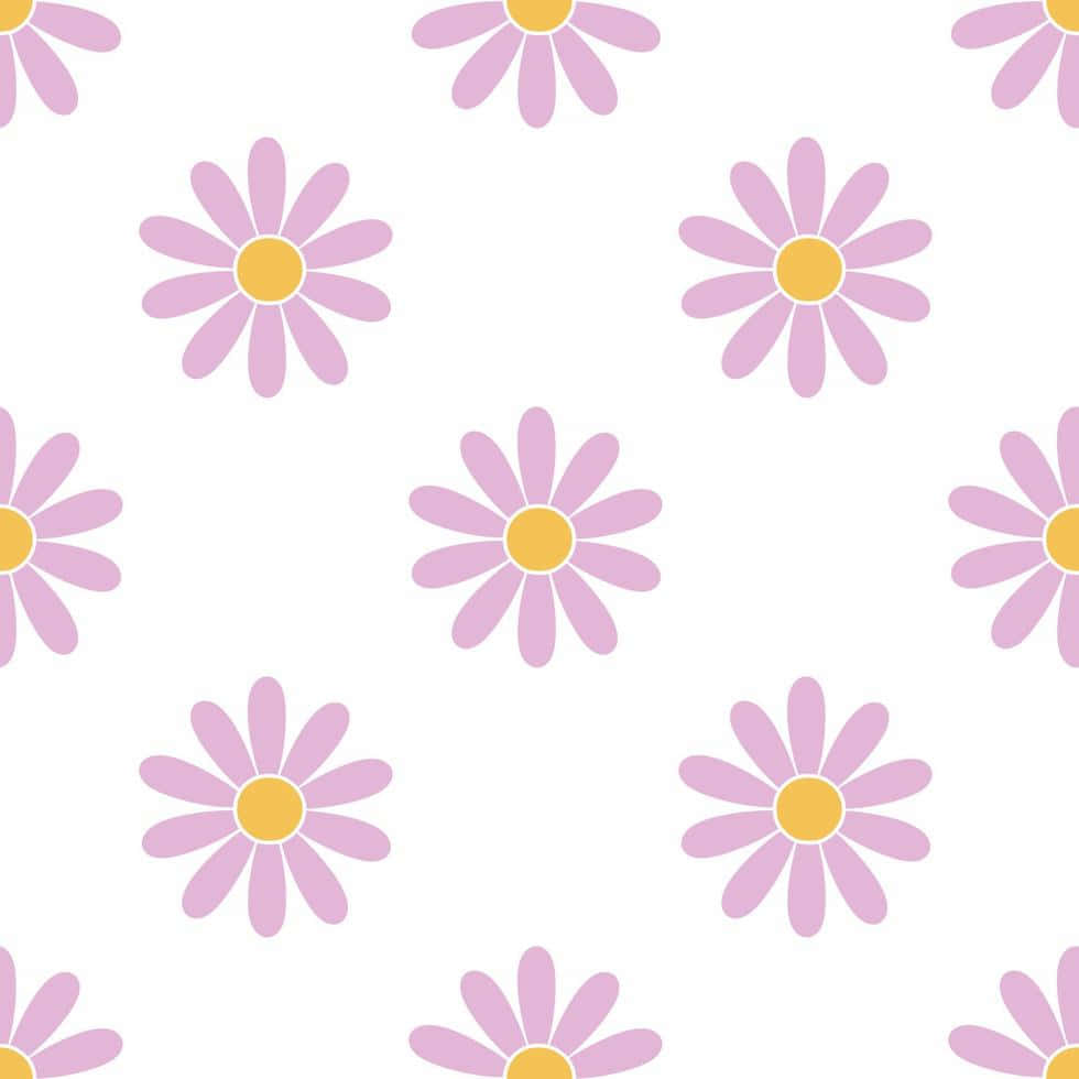 Download Cute Daisy Purple Flowers
