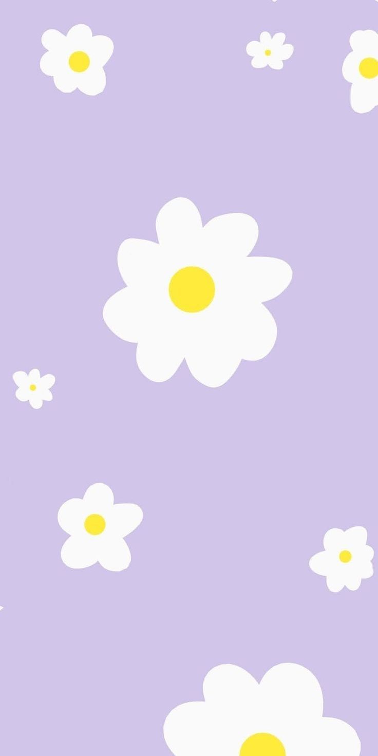 Daisy wallpaper, Flower phone wallpaper