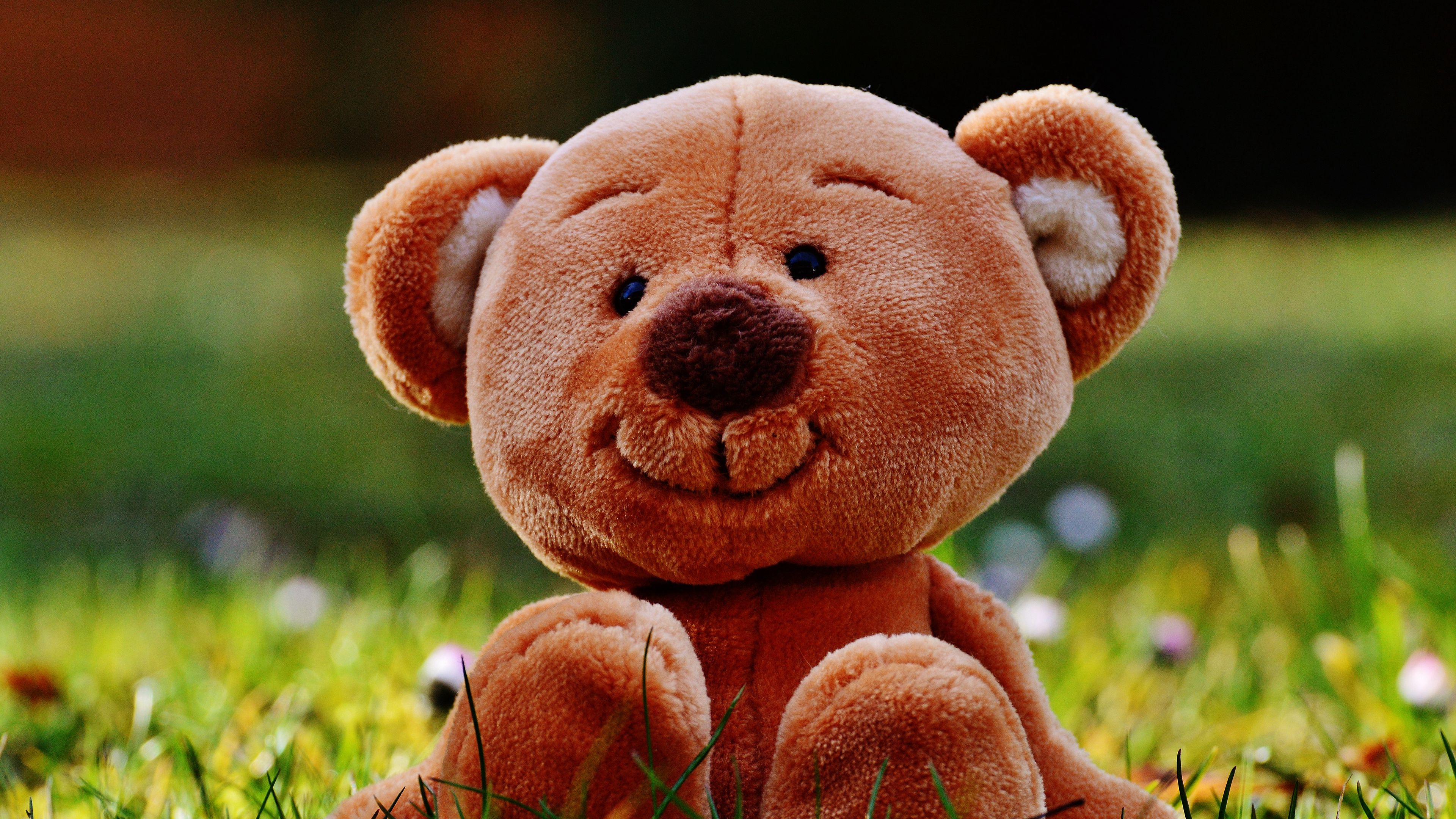 teddy bear, toy, grass, 4k
