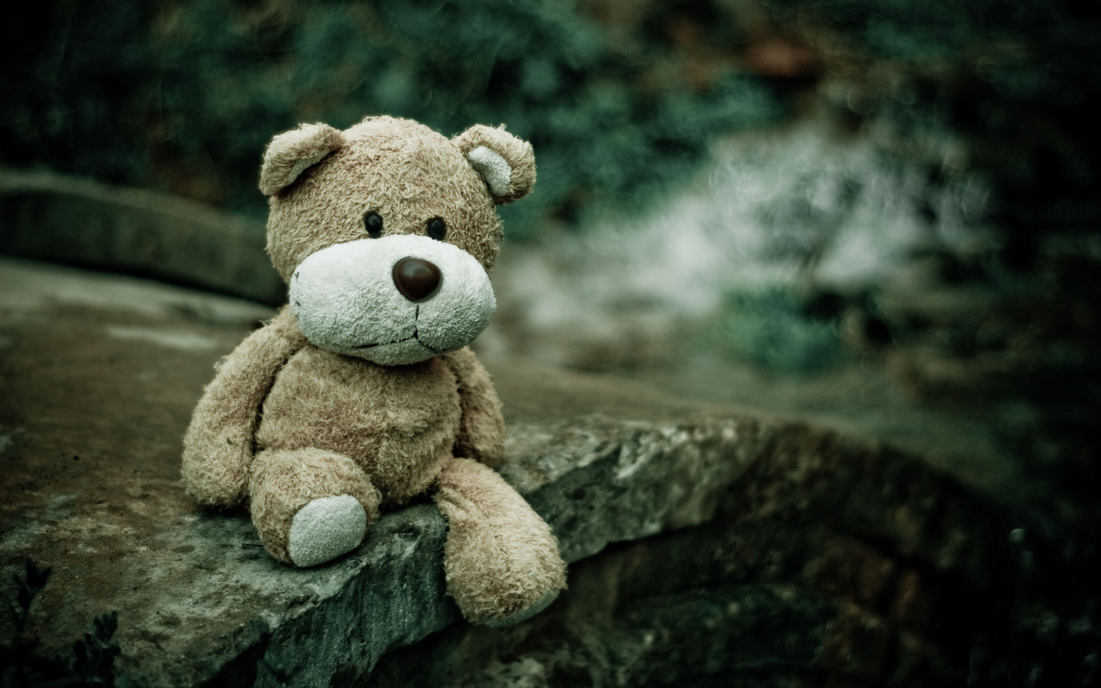 Download wallpaper 3840x2400 soft toy