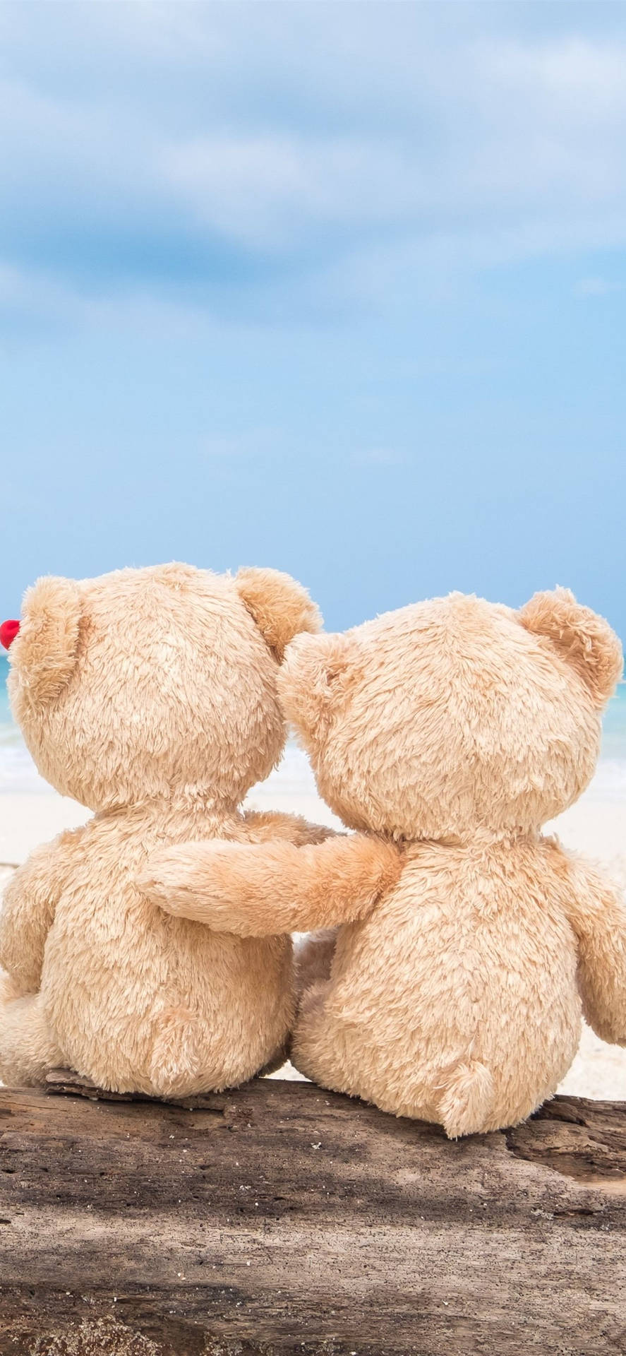 Download Teddy Bear Hugging Wallpaper
