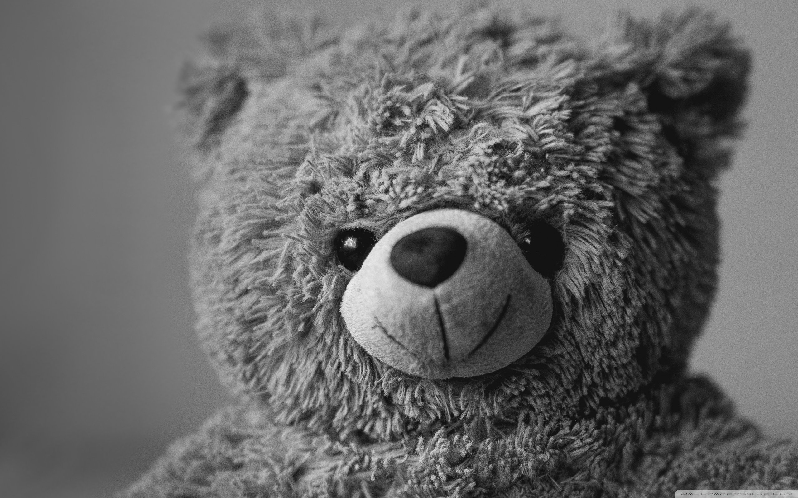 Teddy Bear Ultra HD Desktop Background