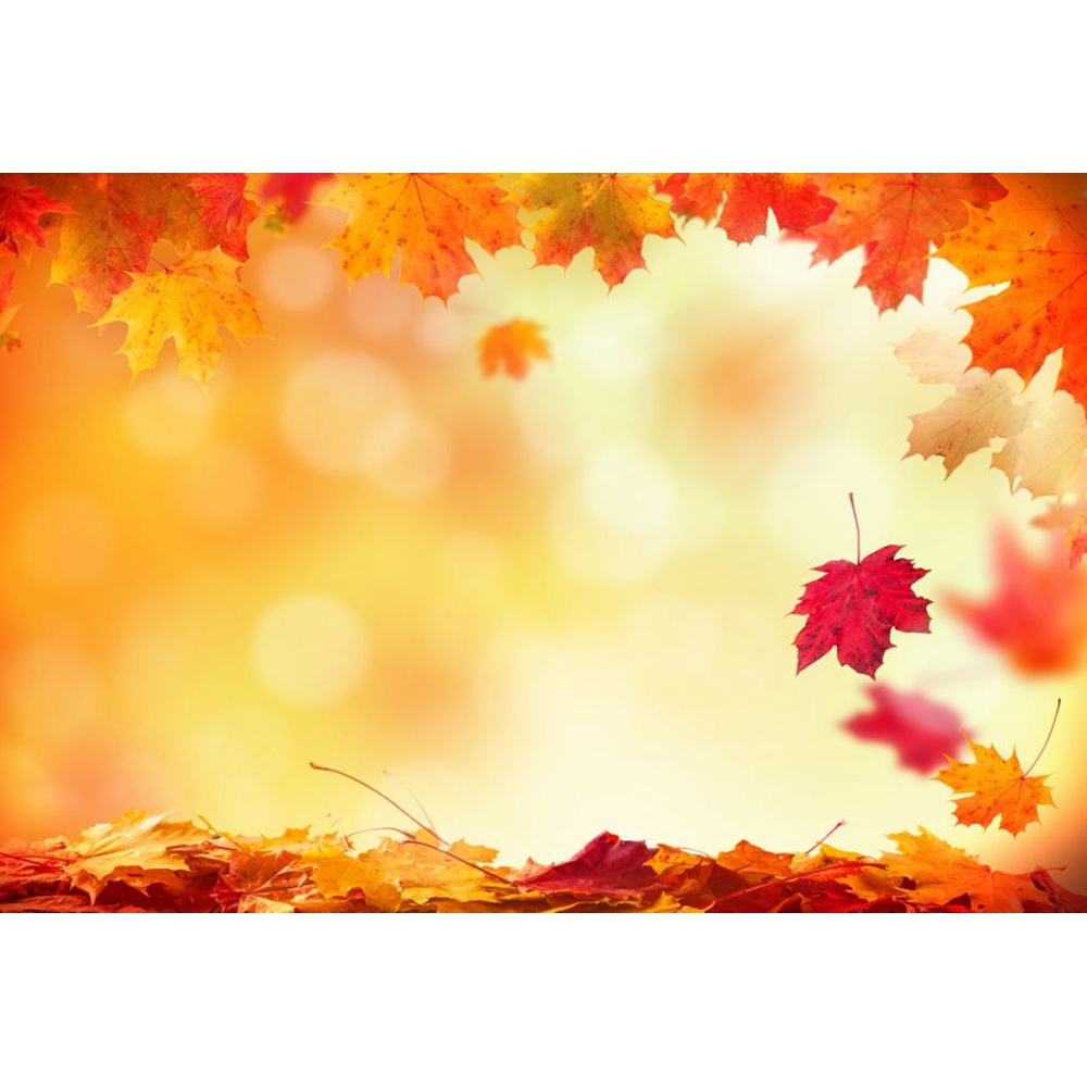 Yeele Autumn Backdrop Photozone Glitter