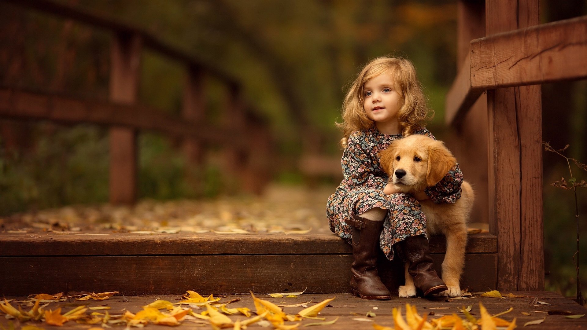 Autumn Puppy Wallpapers - Wallpaper Cave