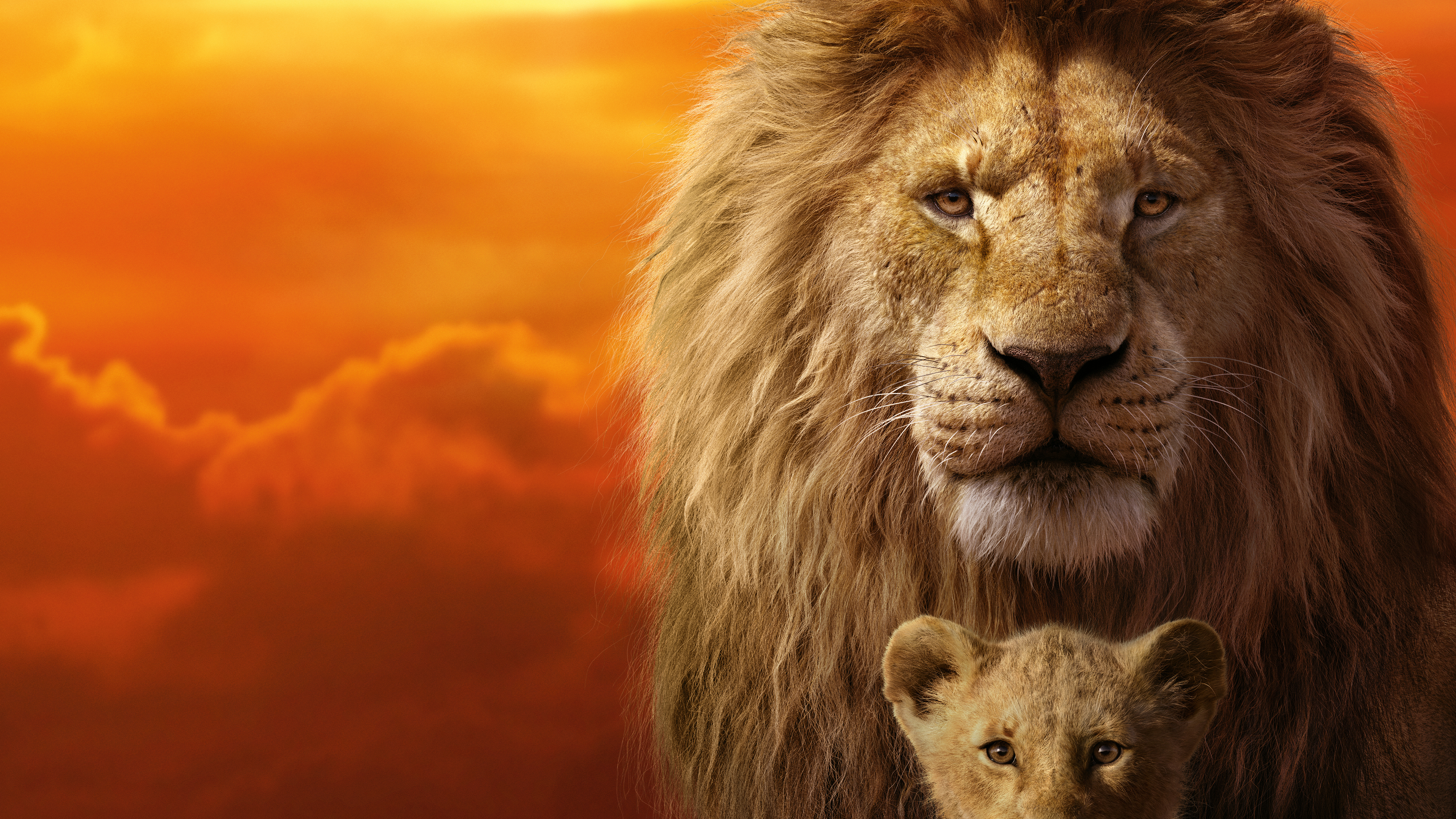 Wallpaper 4k The Lion King Wallpaper