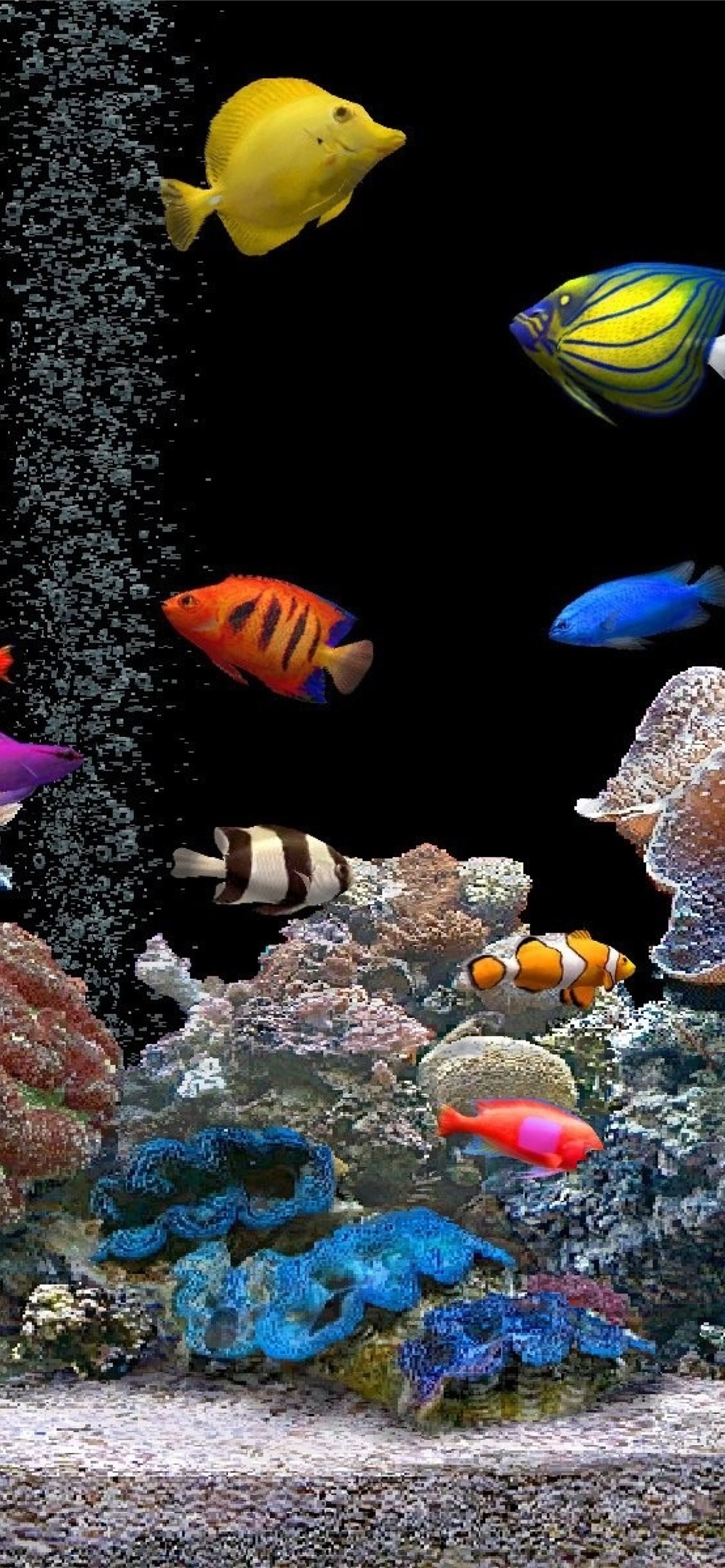 Best Aquarium iPhone HD Wallpaper