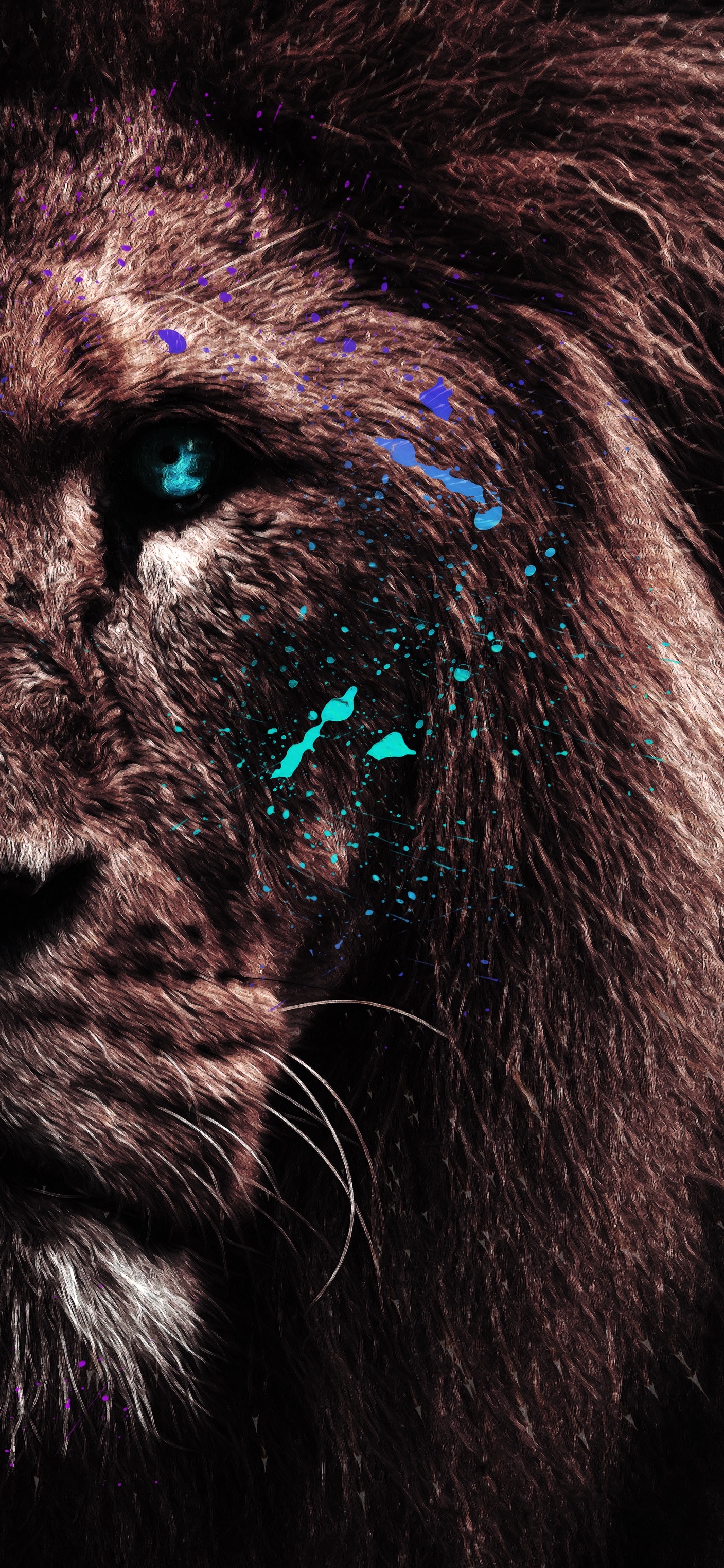 Lion Mobile Wallpaper, HD Lion Background, Free Image Download