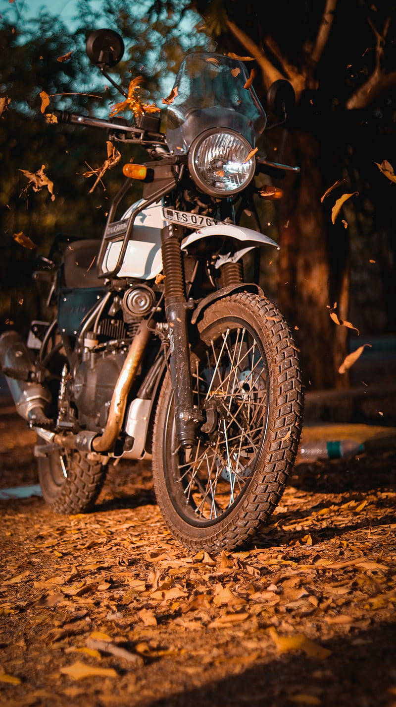 Download Aesthetic Himalayan Bike Photo
