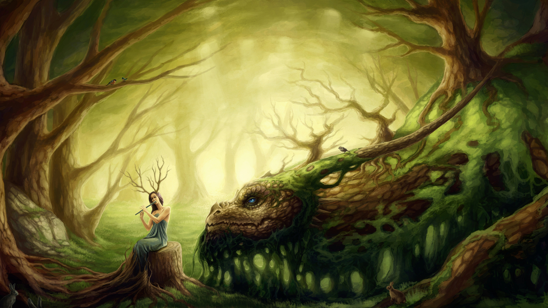 druid HD wallpaper, background