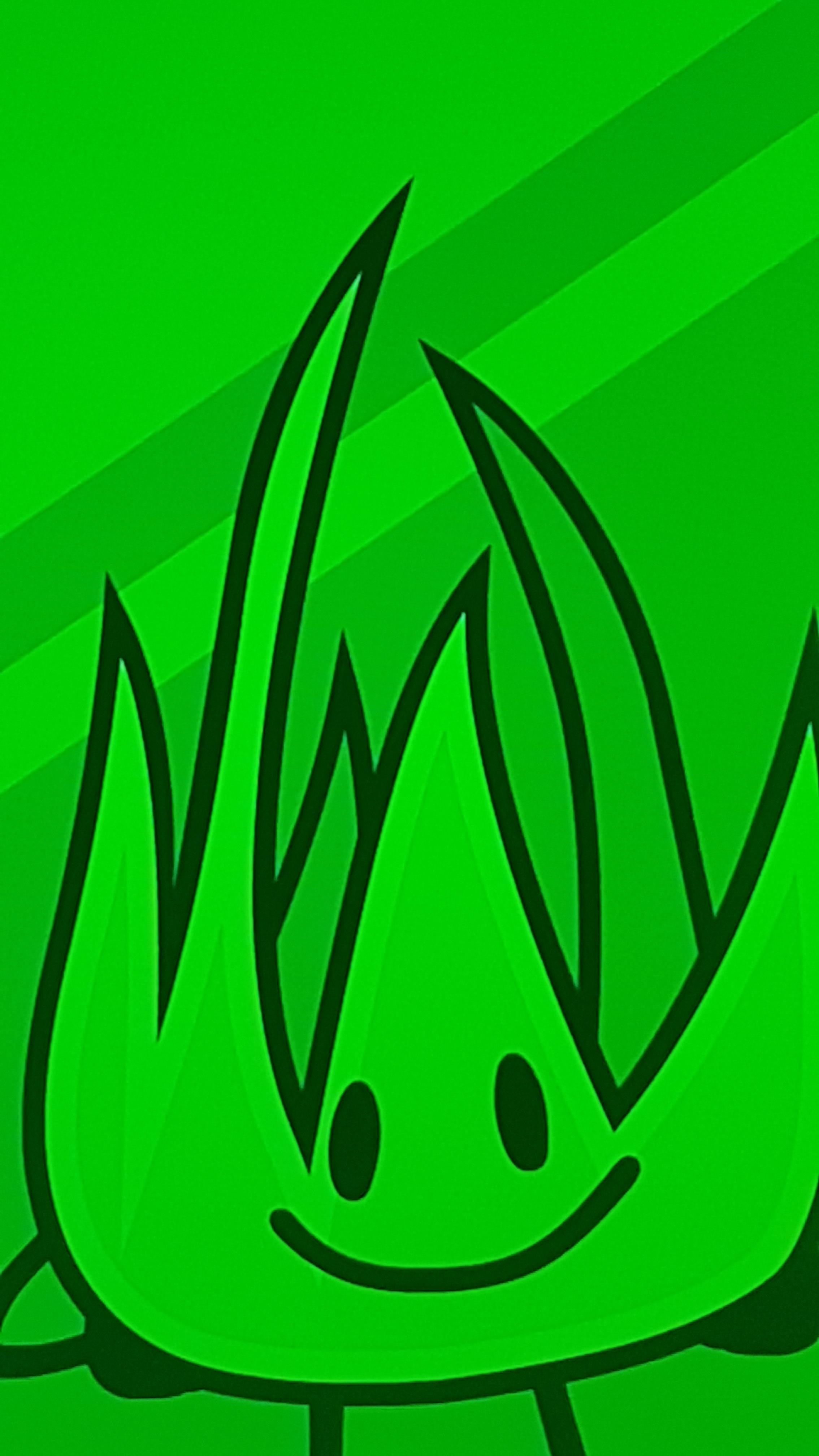 Why do people hate Grassy? Hes so cute