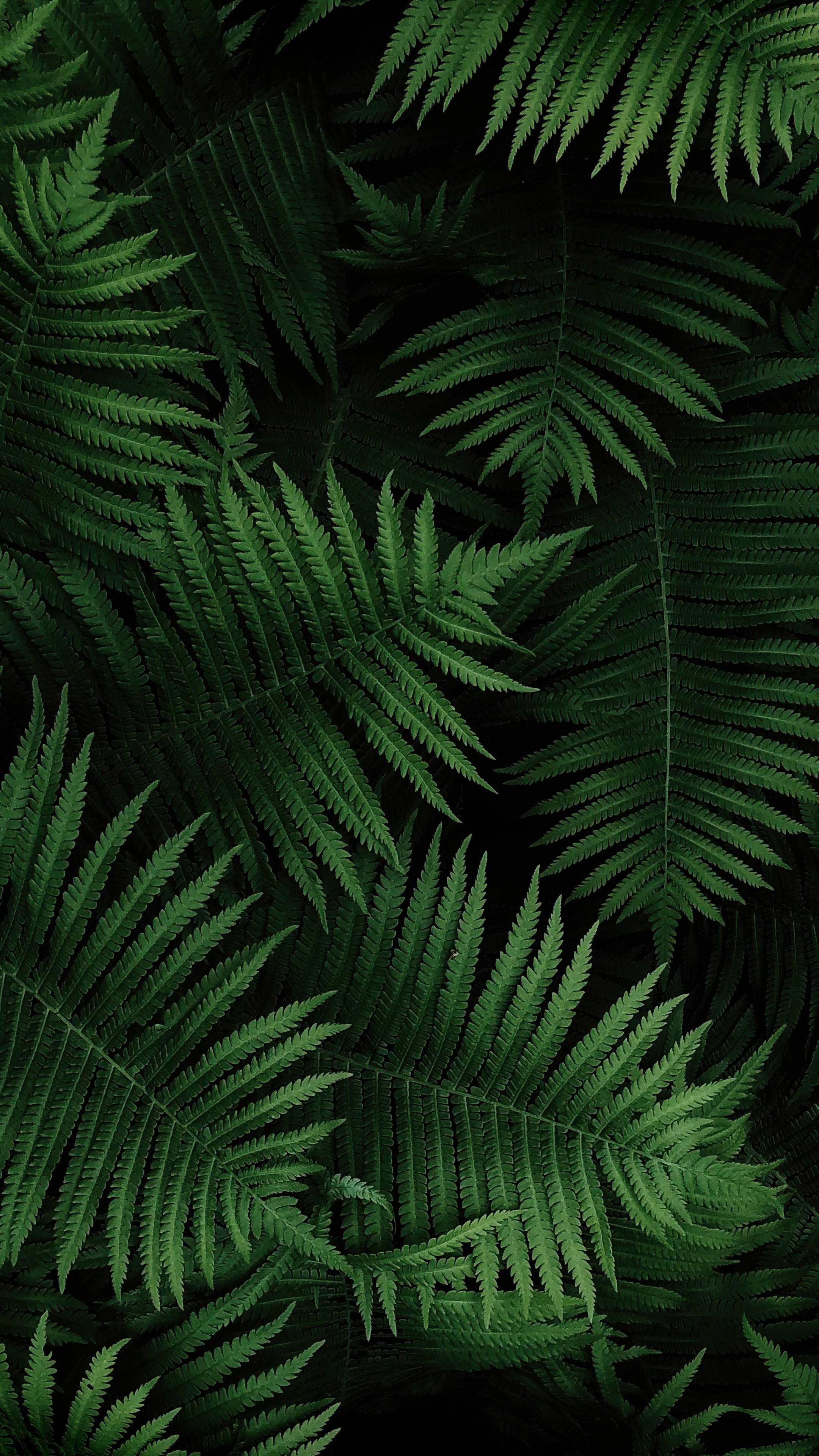 Wallpaper Sony Xperia 5 III, Android 12