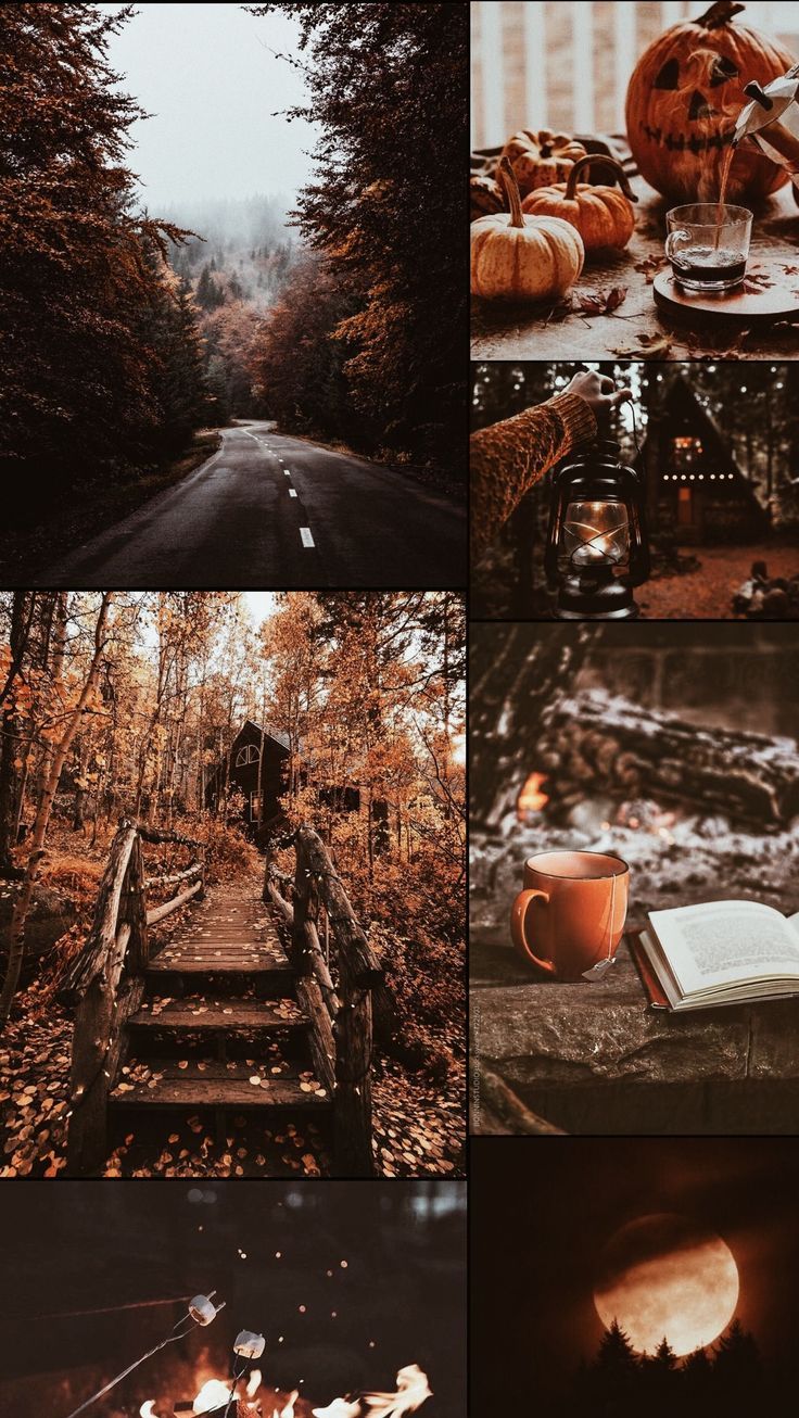 fall aesthetic, fall, fall wallpaper