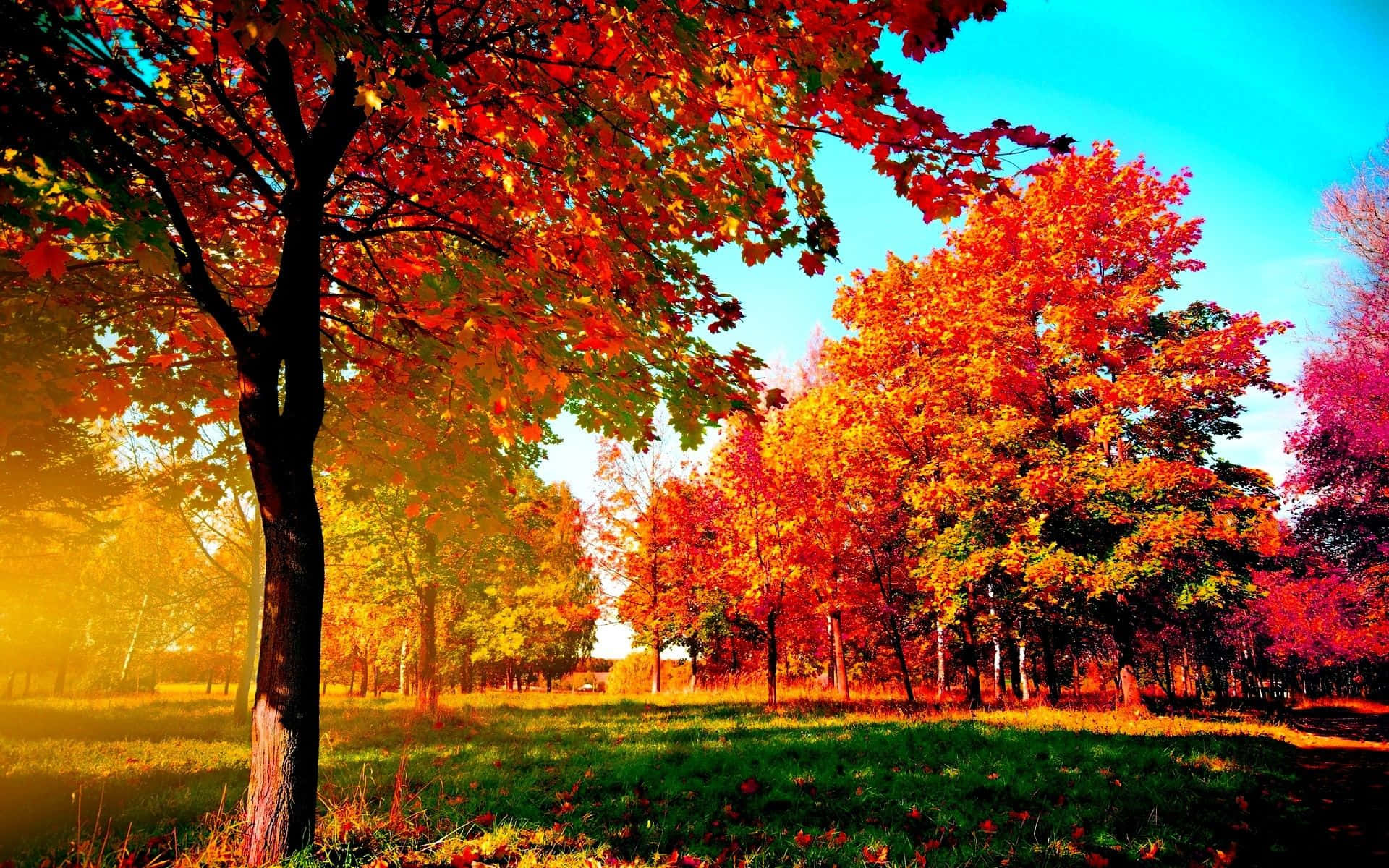 Download Best Autumn 1920 X 1200