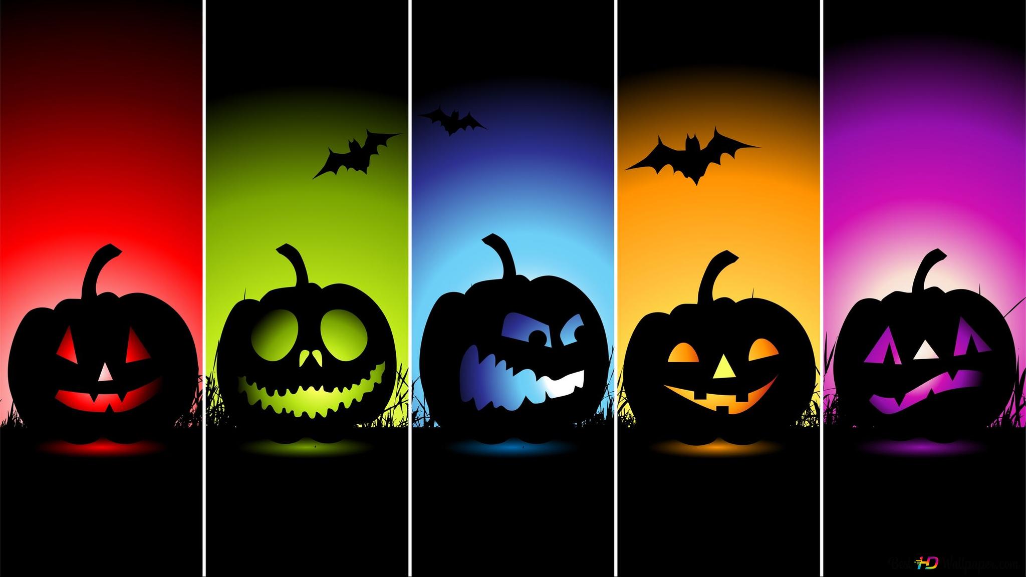 Pumpkins for silhouette halloween