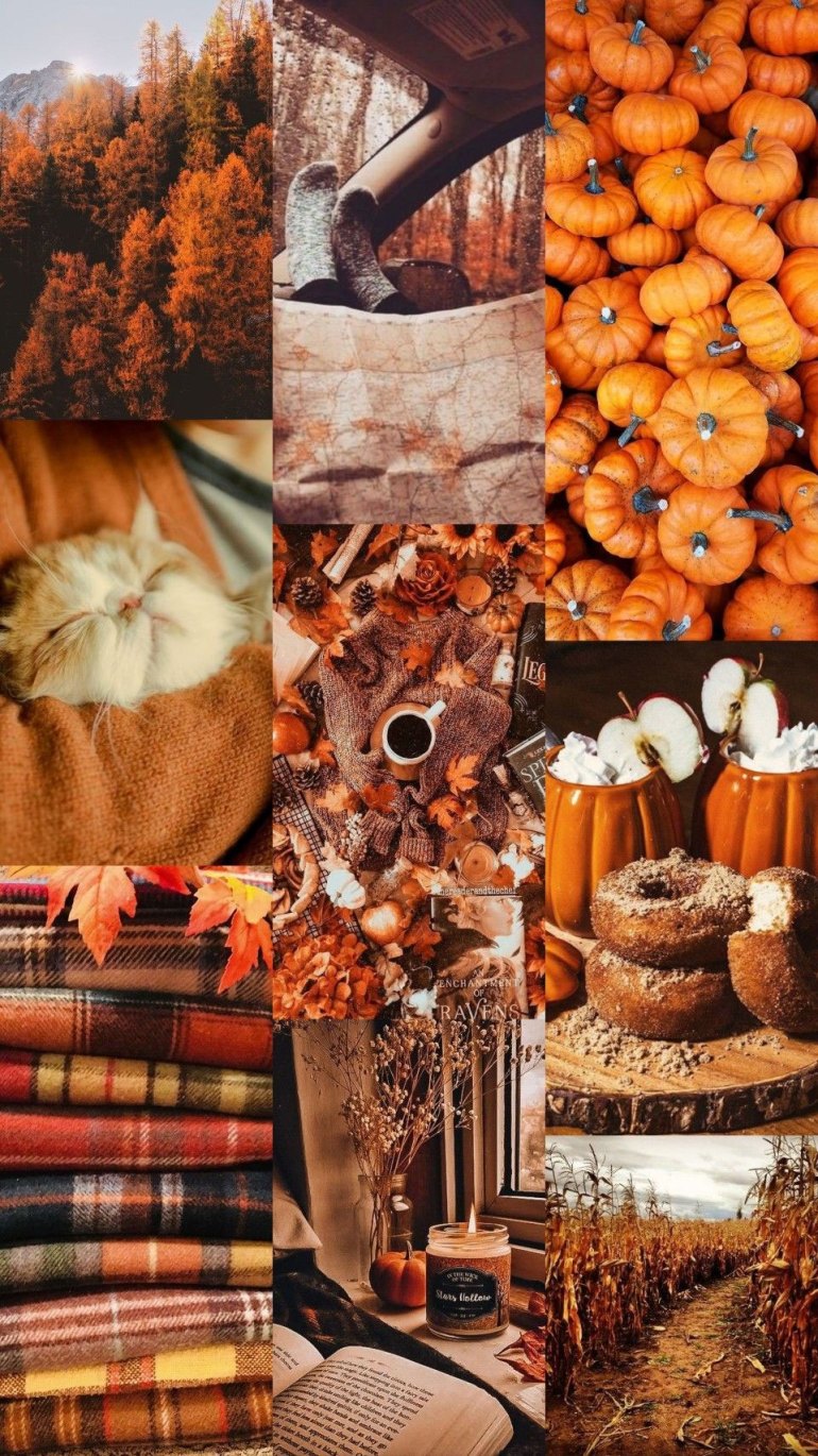 Autumn Collage Wallpaper, Burnt Orange Collage for Phone Wallpaper
