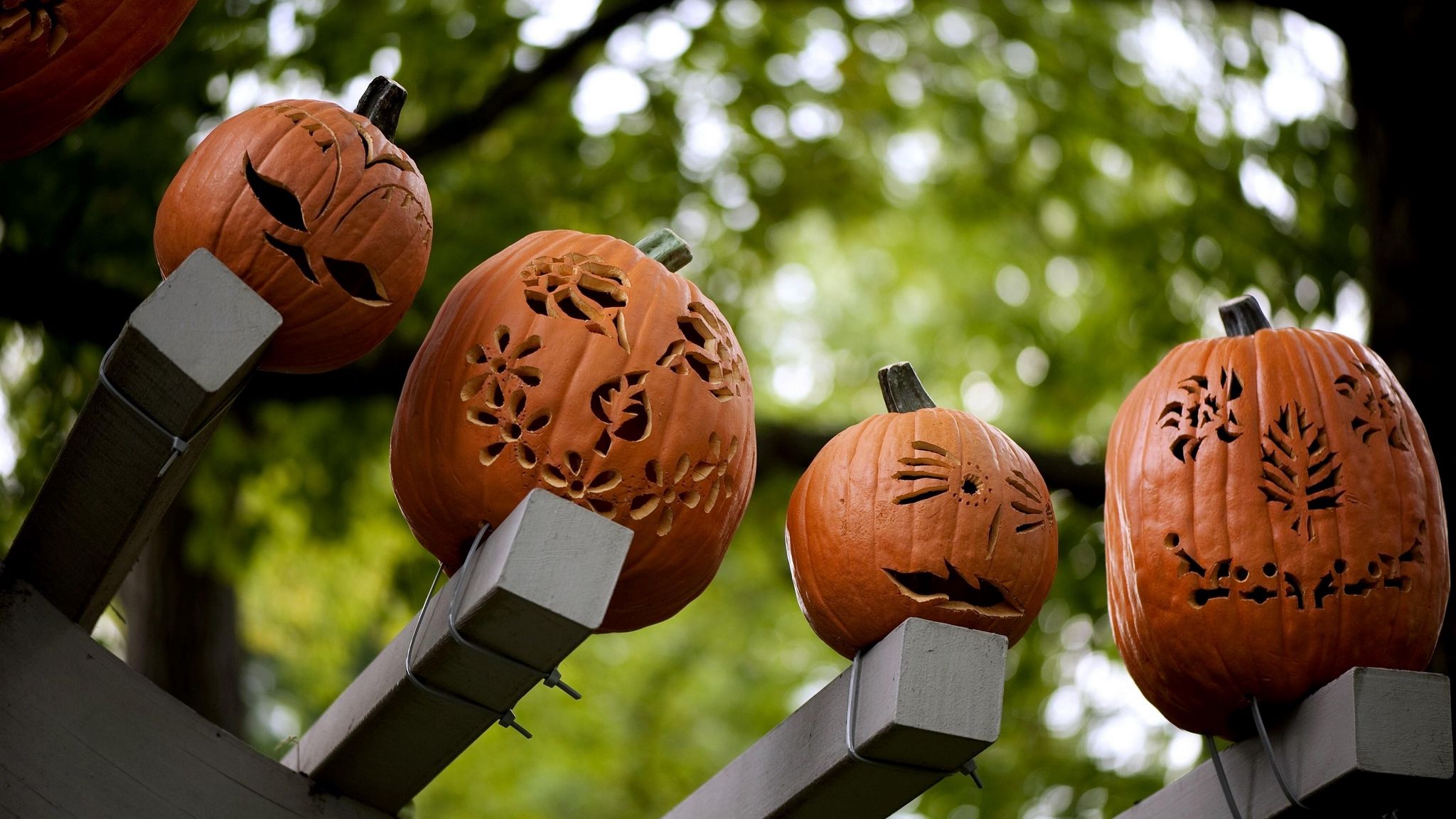 Download wallpaper 2048x1152 halloween
