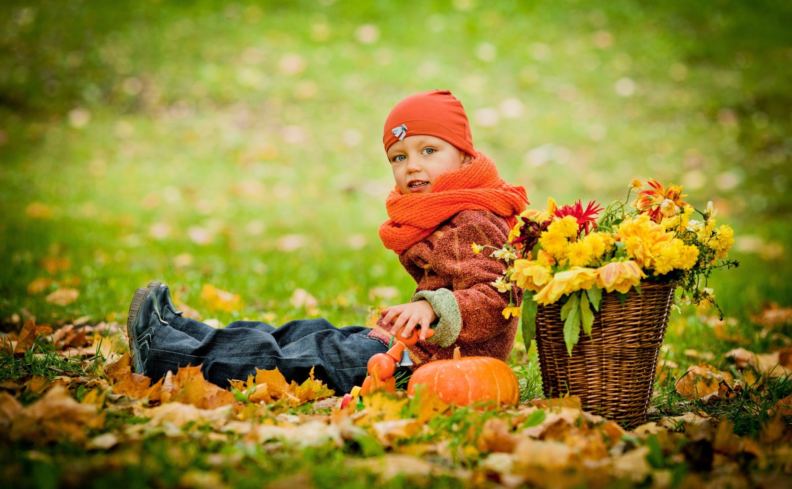 Wallpaper, girl, park, grass, autumn