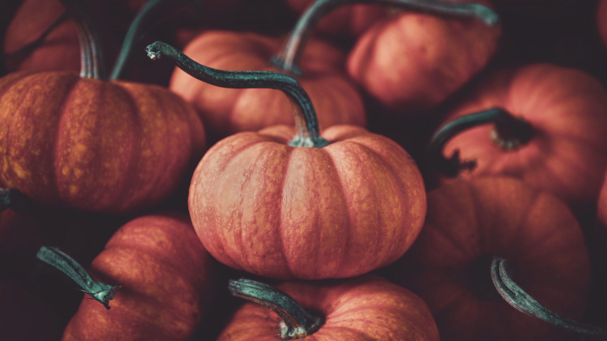 Download wallpaper 2048x1152 halloween