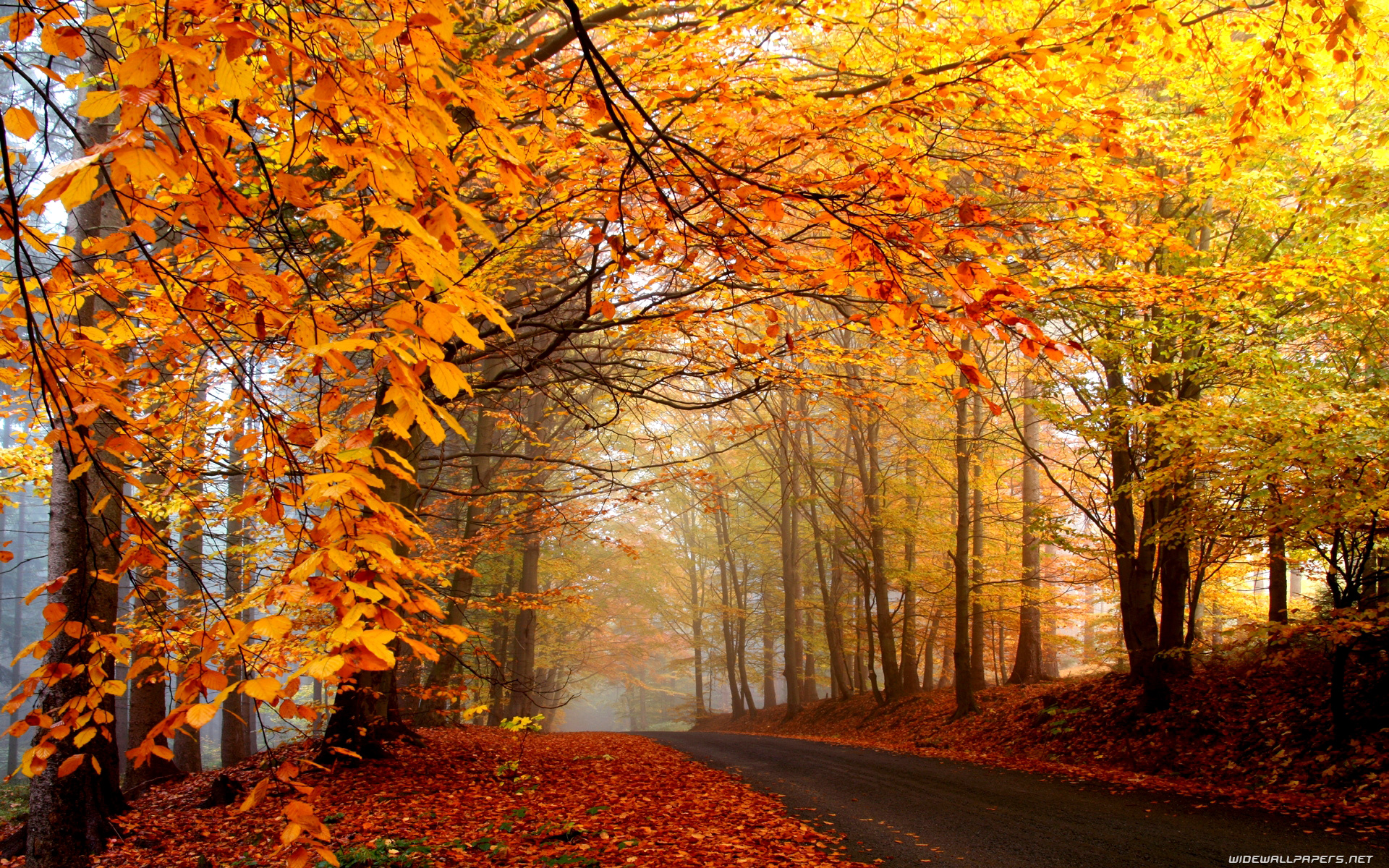 Autumn desktop wallpaper HD and wide